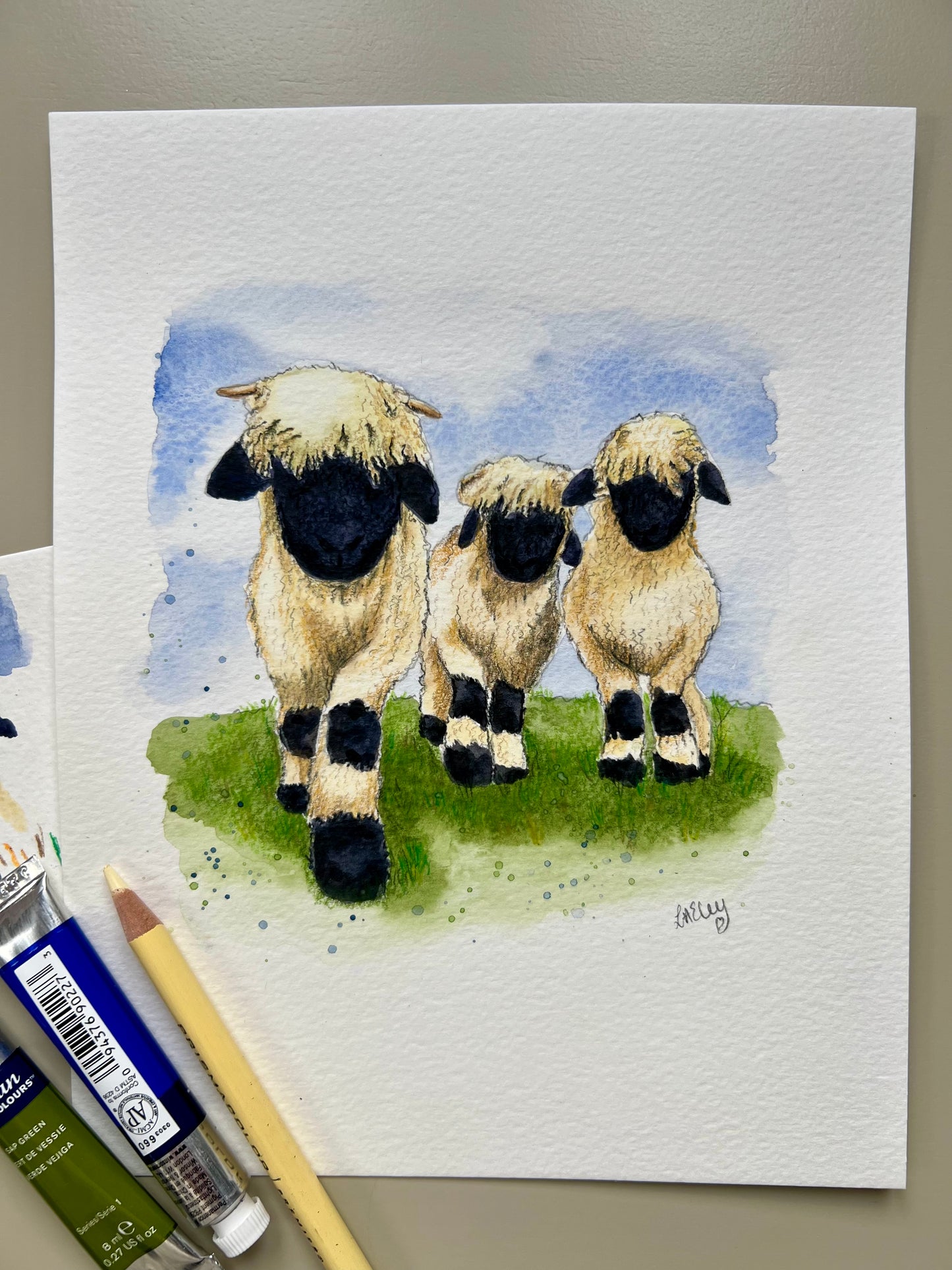 A watercolor painting of three Valais Blacknose sheep standing in a field, with pencil and paint tubes.