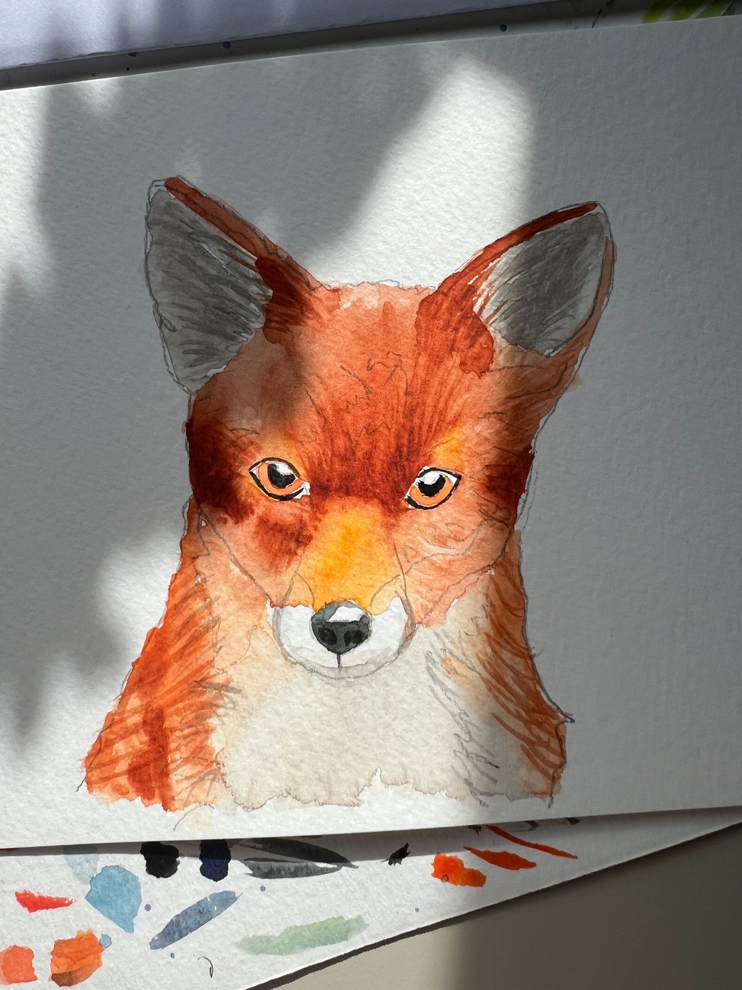 Watercolour painting of a red fox named Fergus in a white mount with a painting background.