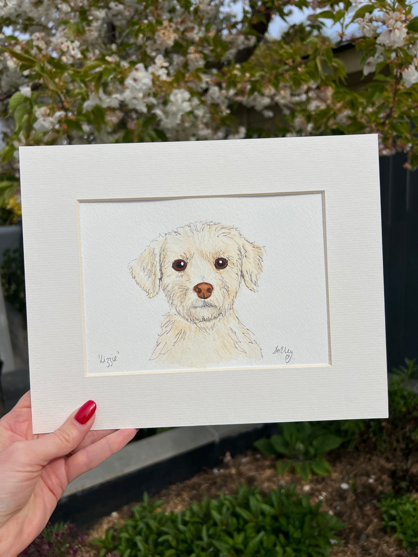 Watercolour painting of a white Maltese dog named Lizzie in a white mount with a garden background.
