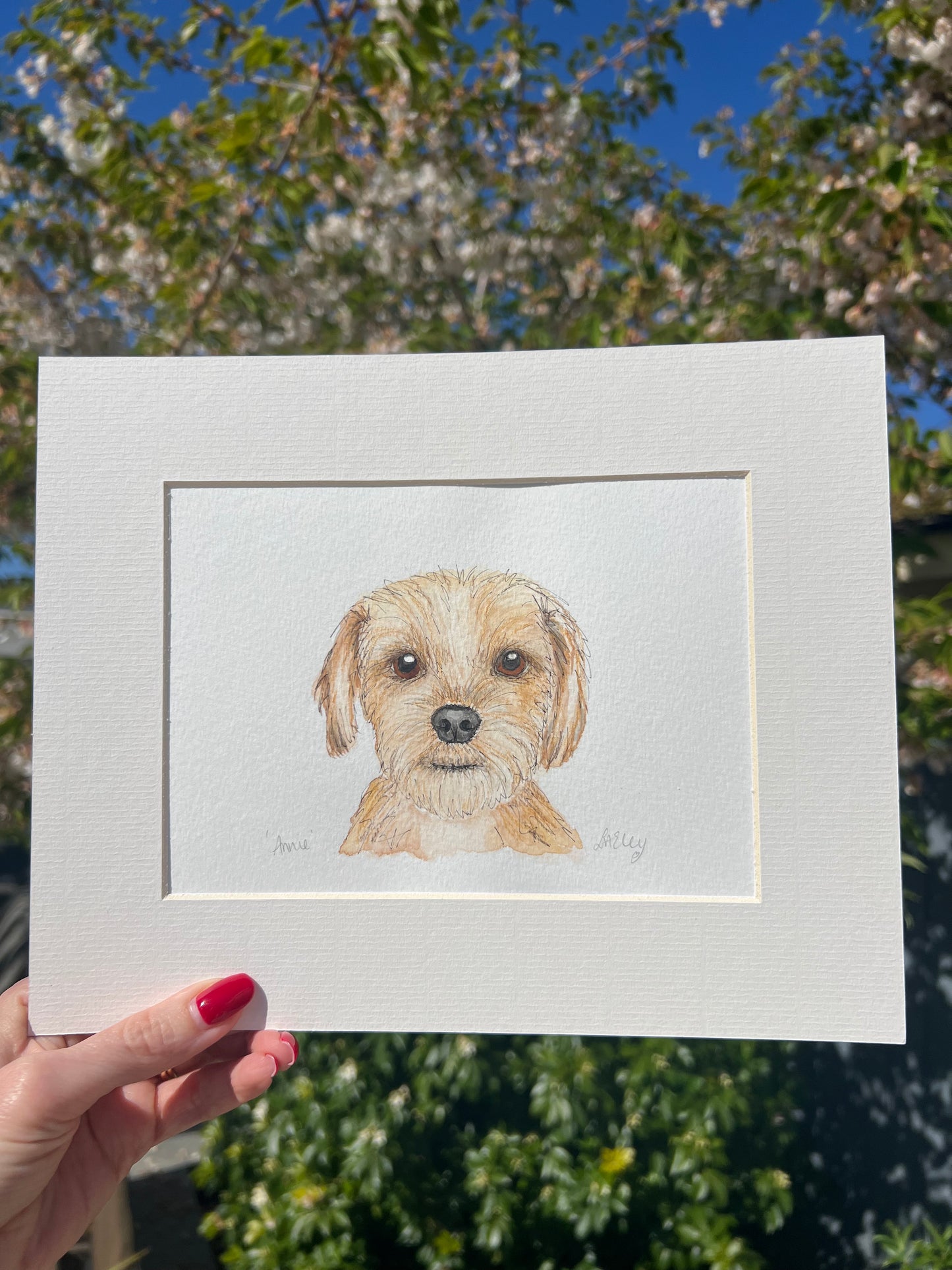 Watercolour painting of a Yorkshire Terrier dog named Annie in a white mount with a garden background.