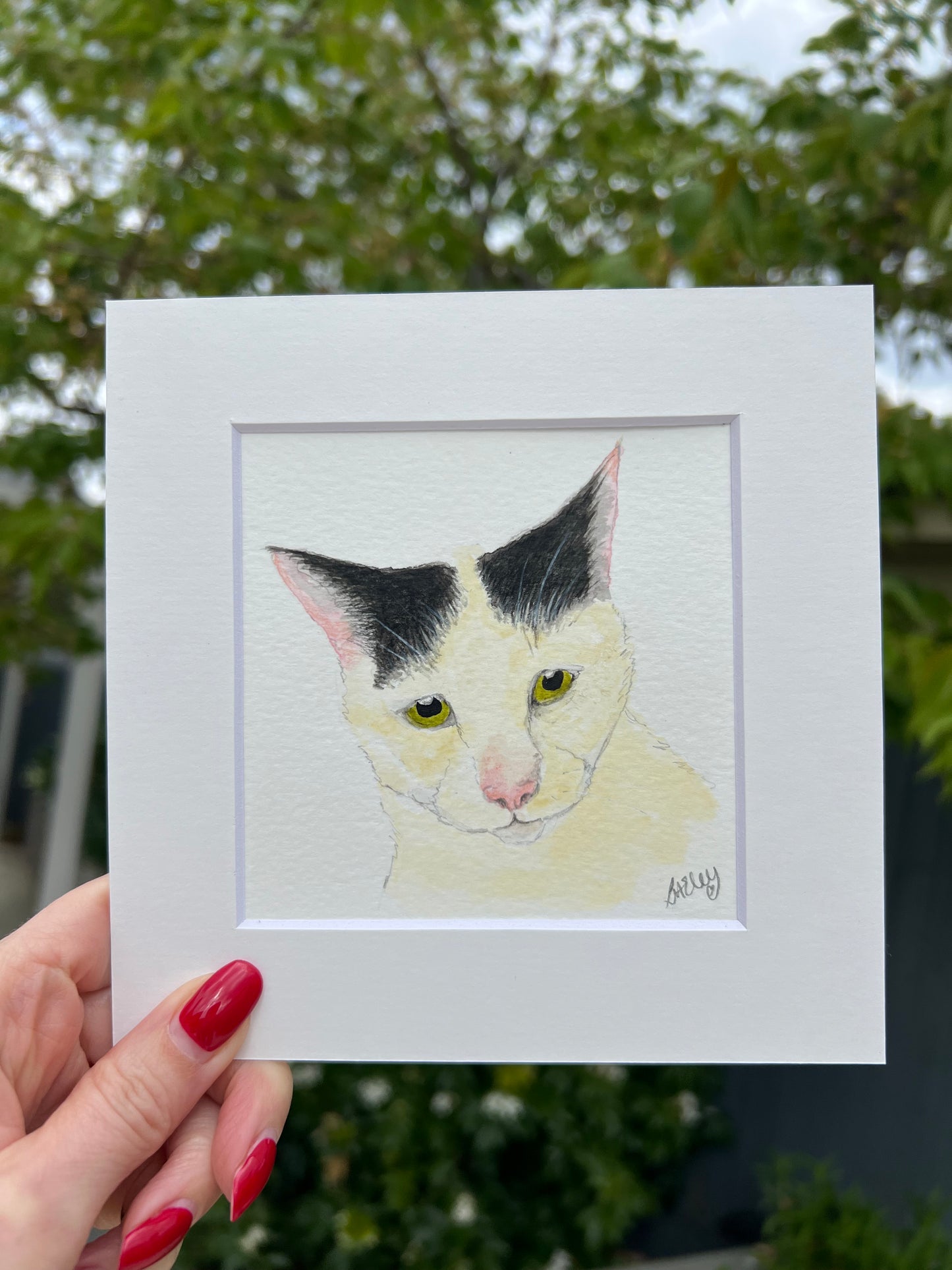 A custom watercolour pet portrait of a white cat, displayed with white mount and garden in the background.