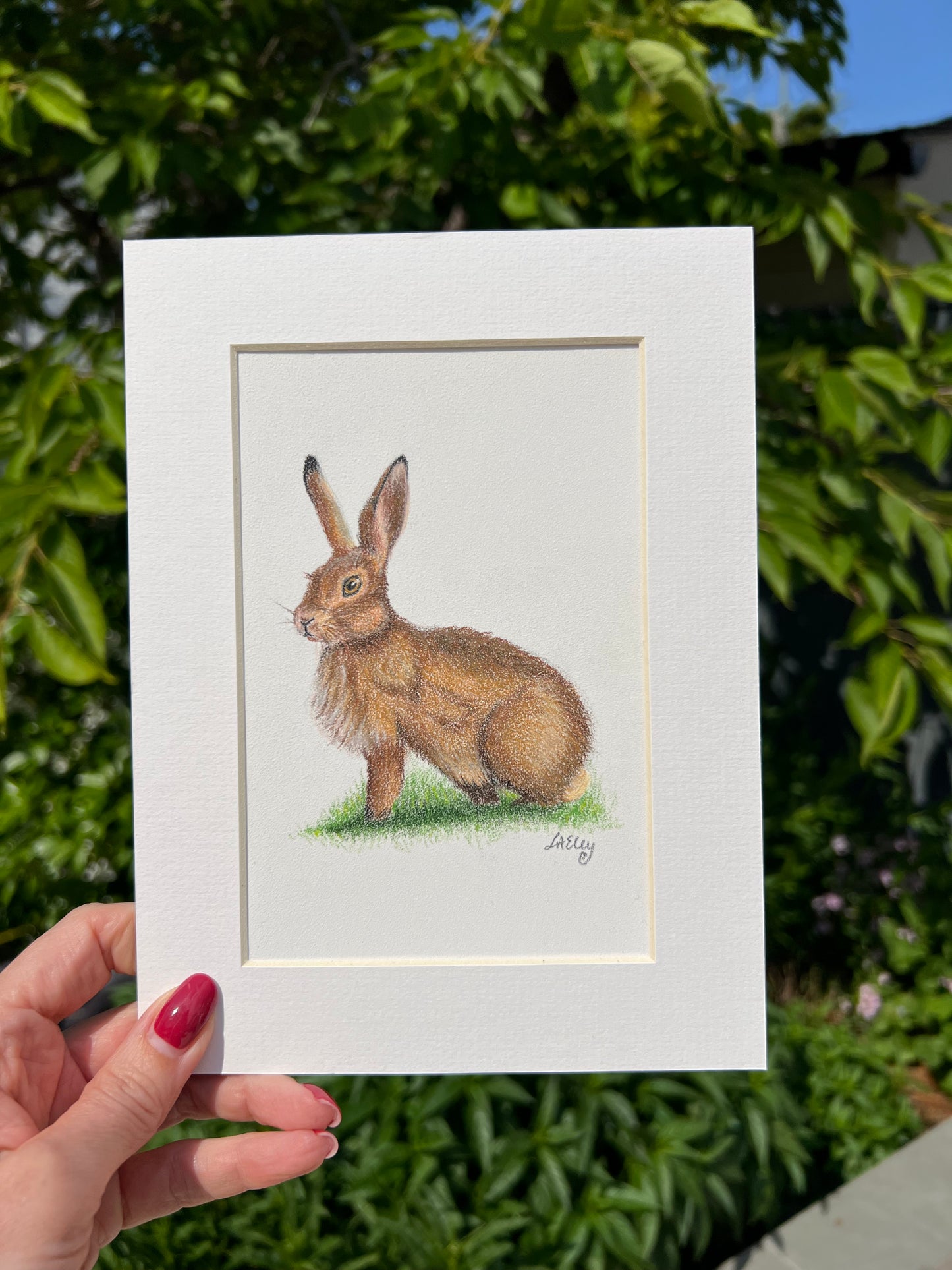 Pencil drawing Illustration of a hare on a framed picture held against a green background.