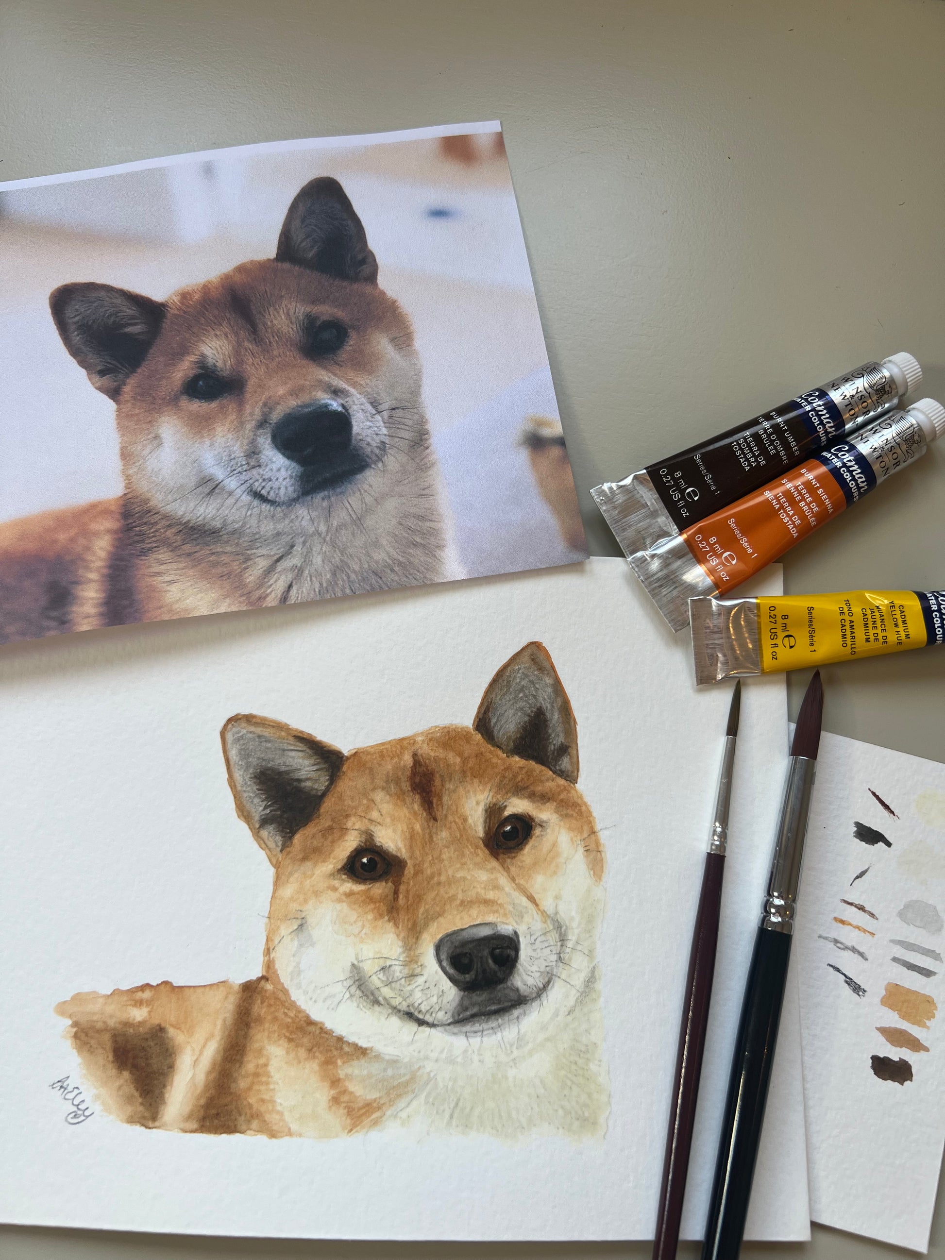 A custom watercolour pet portrait of a Shiba Inu dog, displayed with original photo.