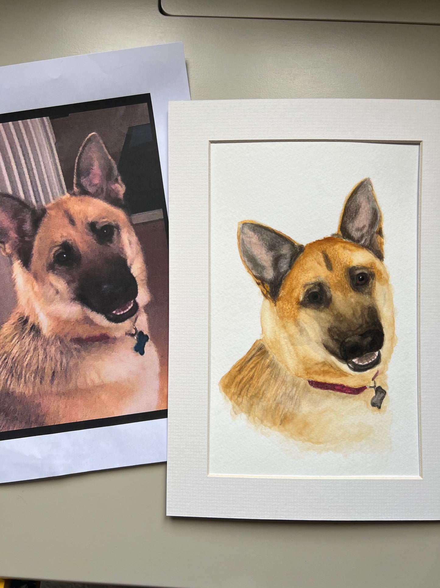 A custom watercolour pet portrait of a German shepherd dog, displayed with original photo.
