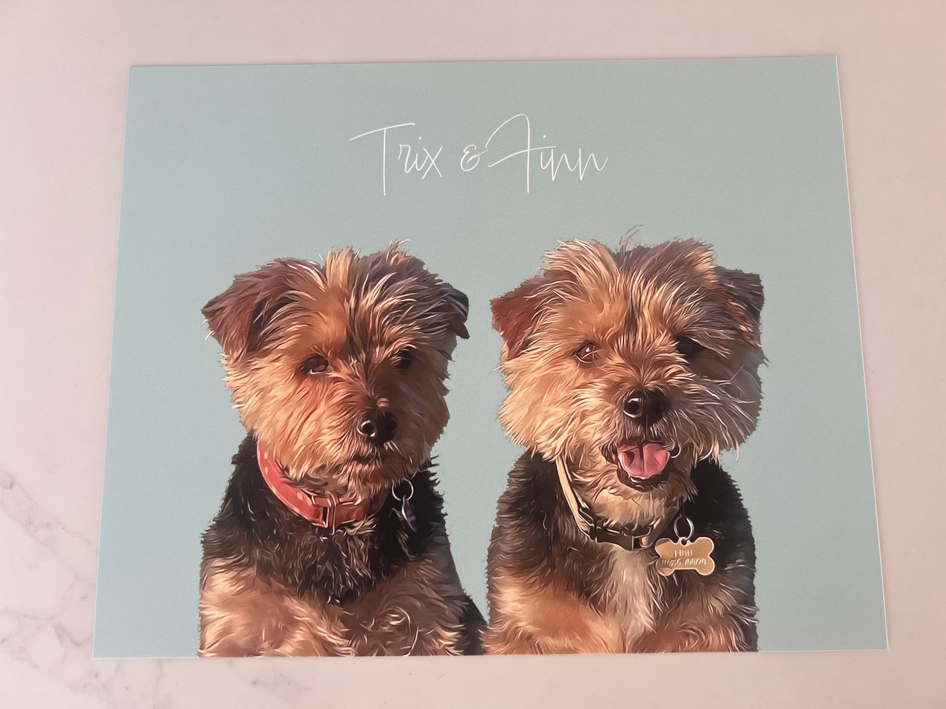 Two Yorkshire terrier dogs with collars on a light blue background, featuring the names 'Trix' and 'Finn'.