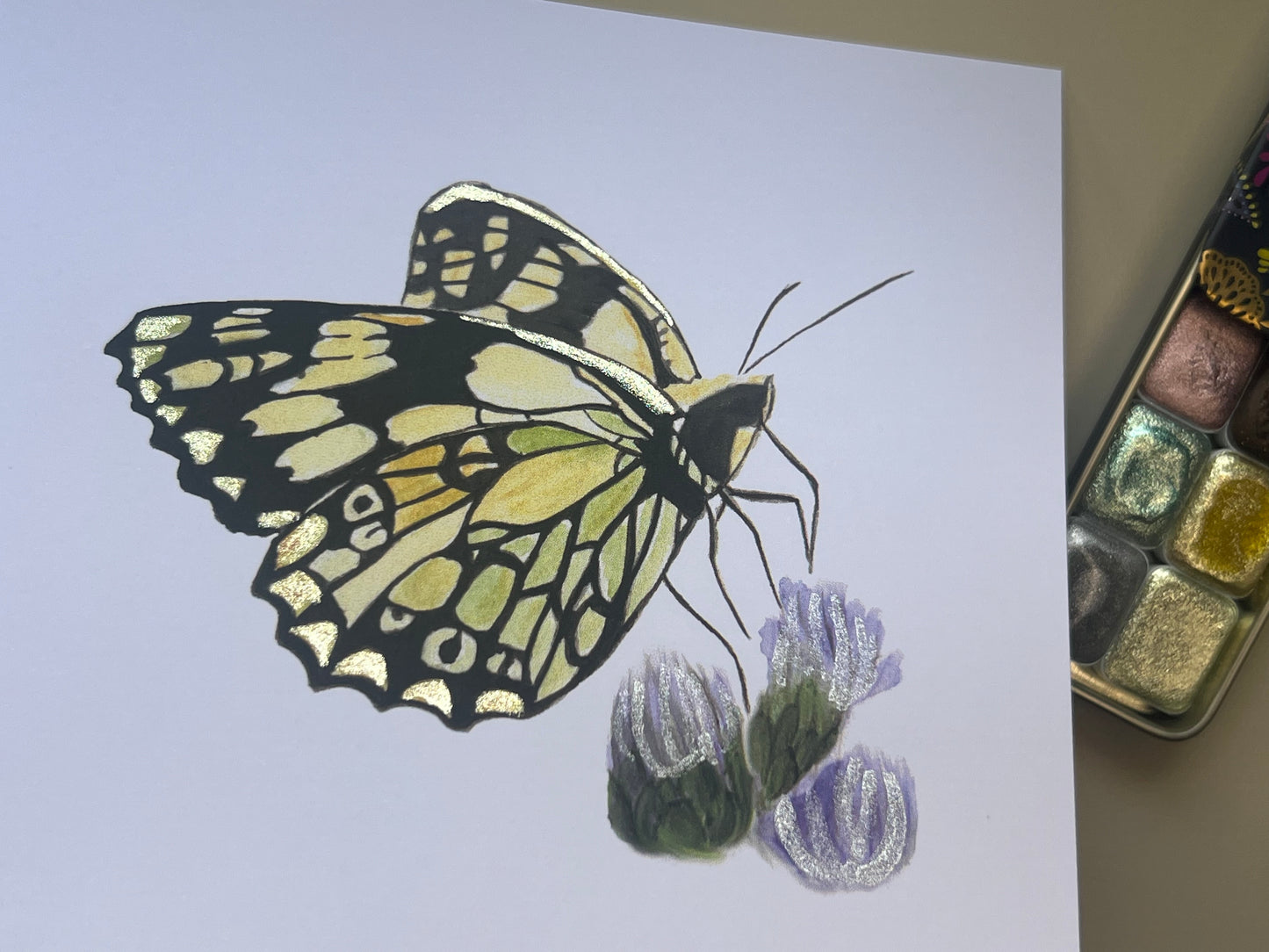 Colorful butterfly illustration on a white background with watercolor paints.