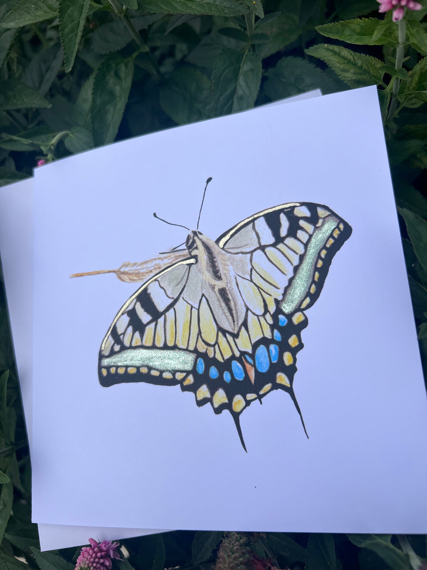 Swallowtail Butterfly illustration with green and gold metallic finish on a white card with green foliage in the background.