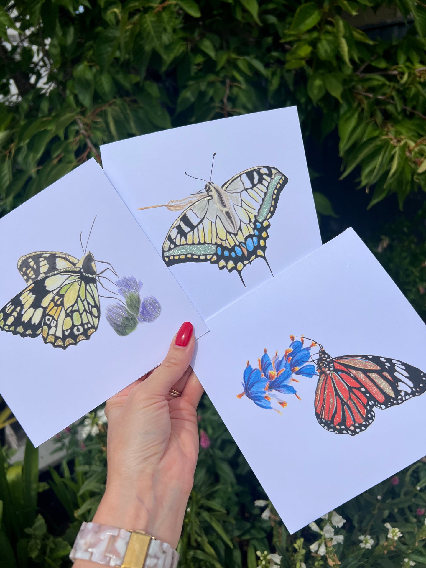 Range of Butterfly greeting cards featuring the monarch, swallowtail and the marbled white.