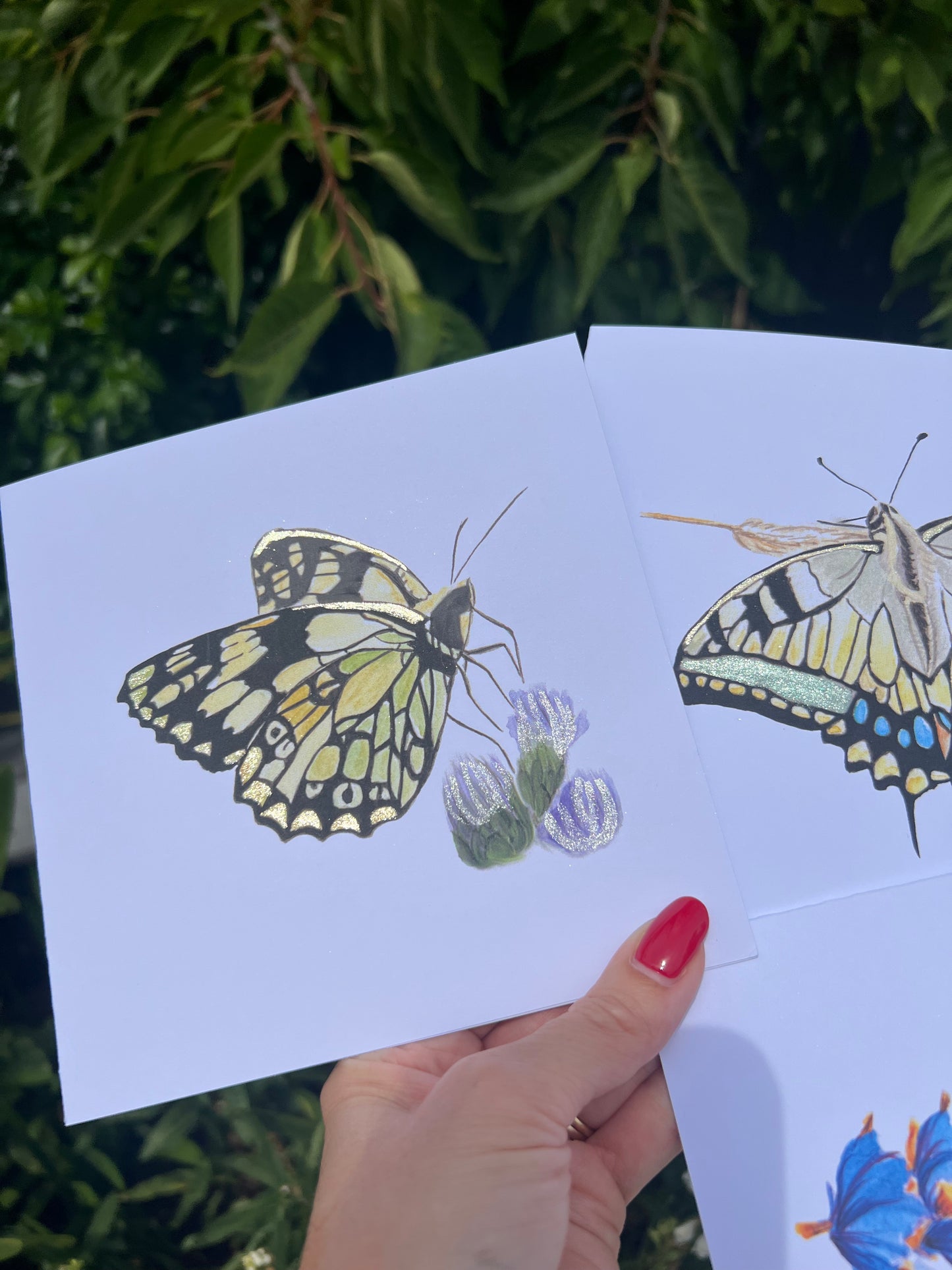 Hand holding a card with Marbled White butterfly illustrations against a natural background with metallic gold and grey accents.