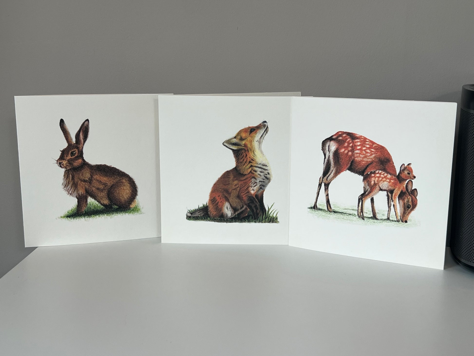 Range of Wildlife greeting cards featuring the deer and fawn, a fox cub and a hare.