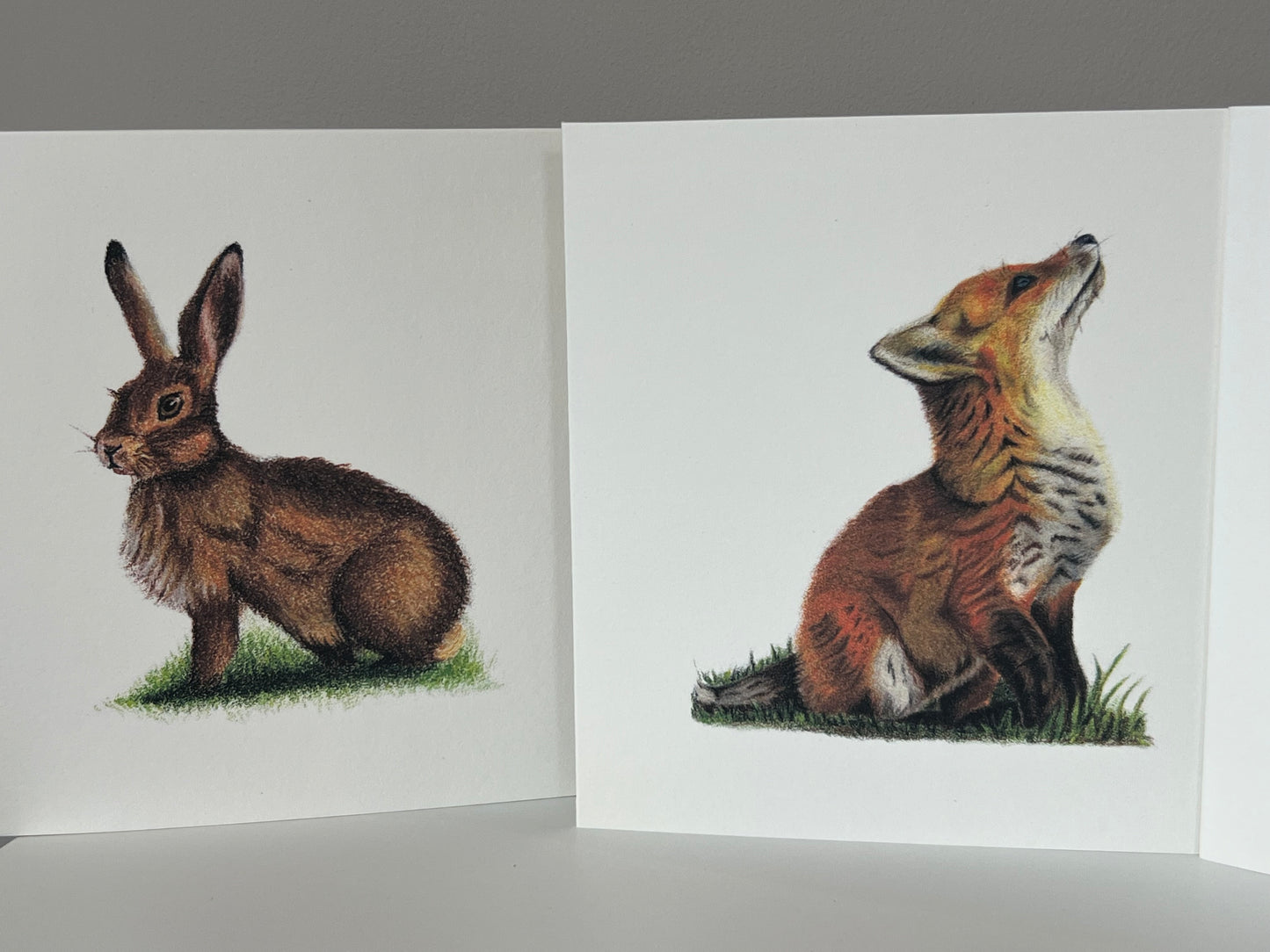 Range of Wildlife greeting cards featuring the fox cub and a hare.