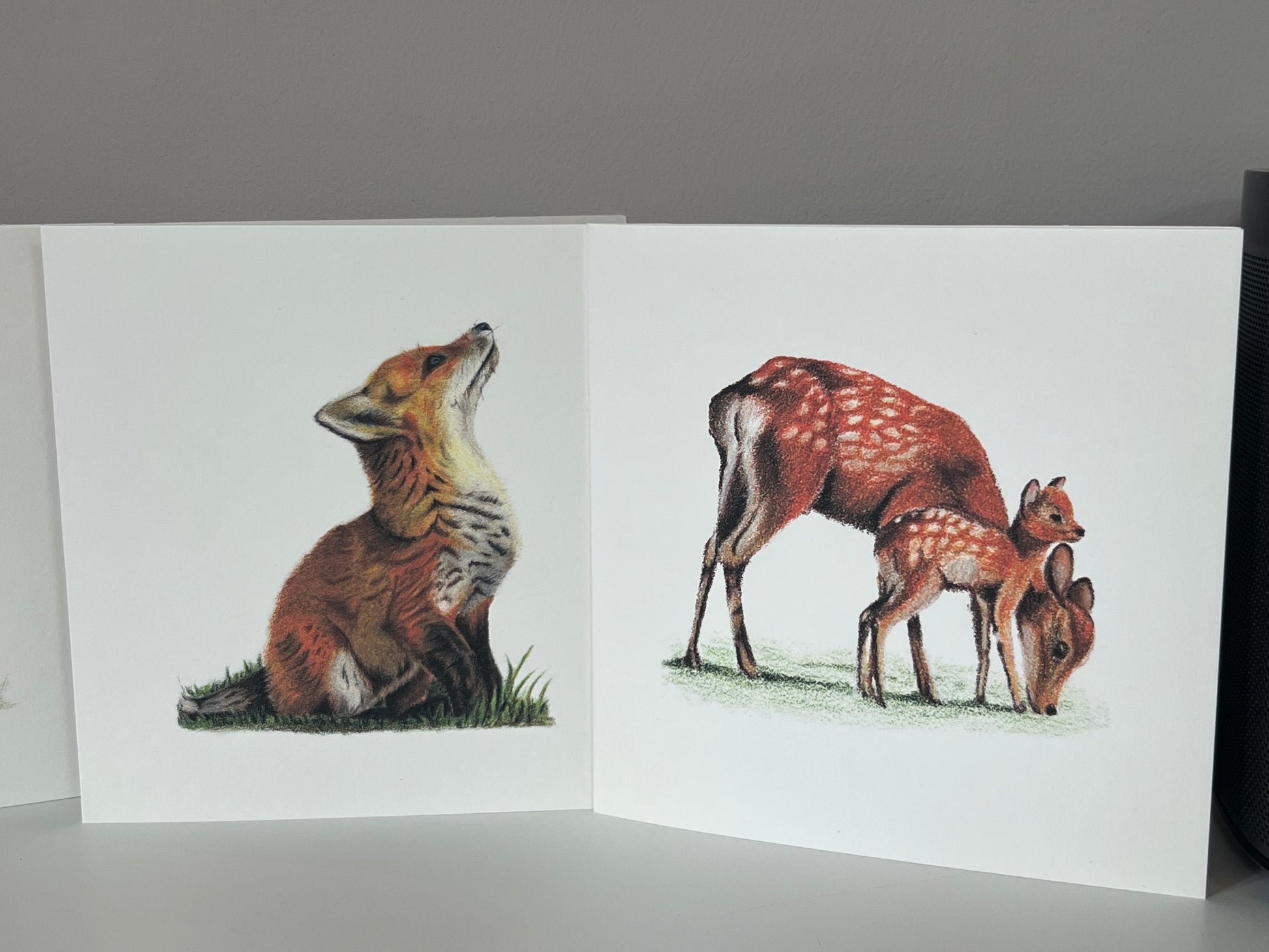 Range of Wildlife greeting cards featuring the deer and fawn and a fox cub.