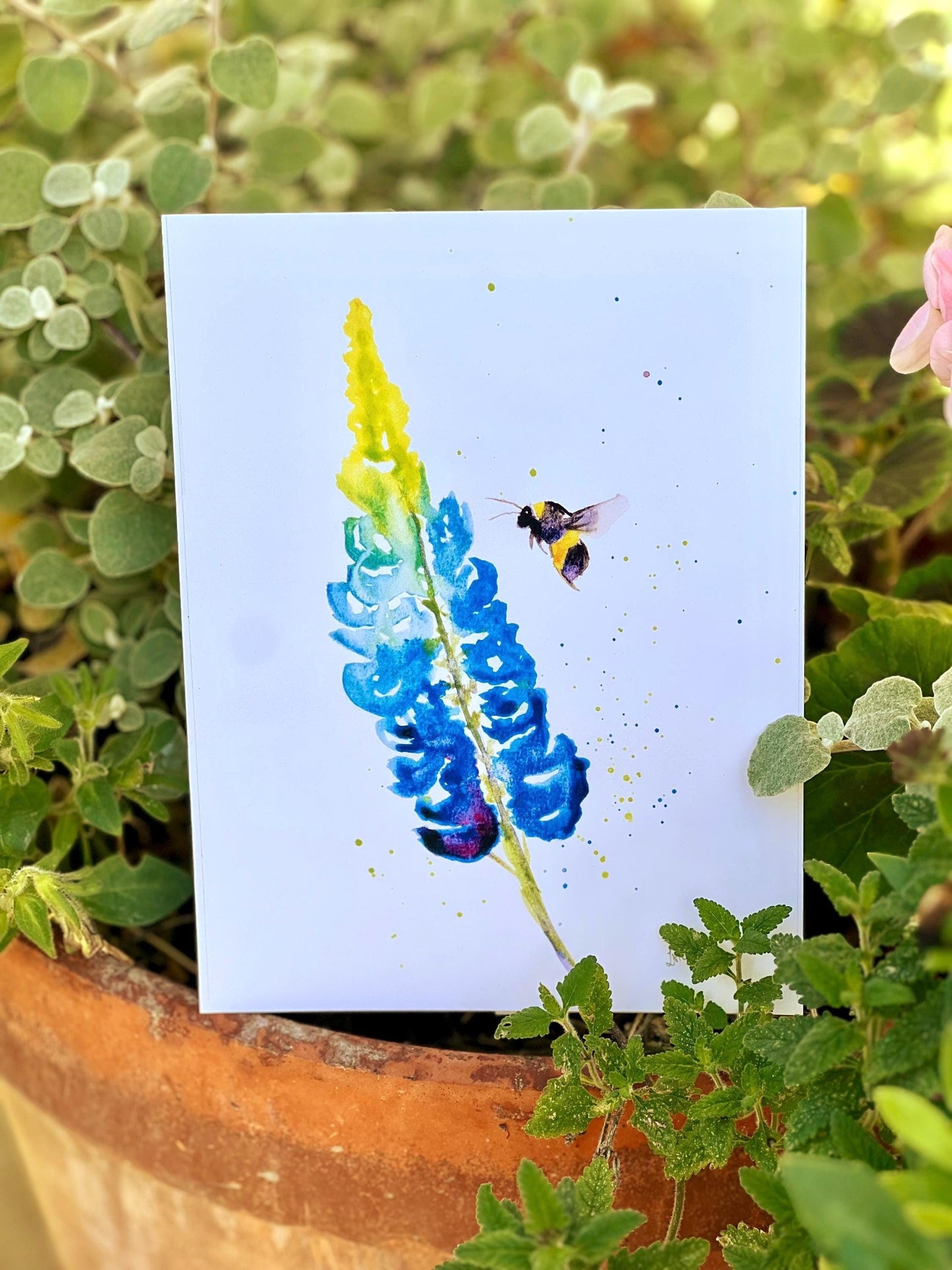Petals & Pollen: A Bee’s Delicate Lupin Journey in Watercolour