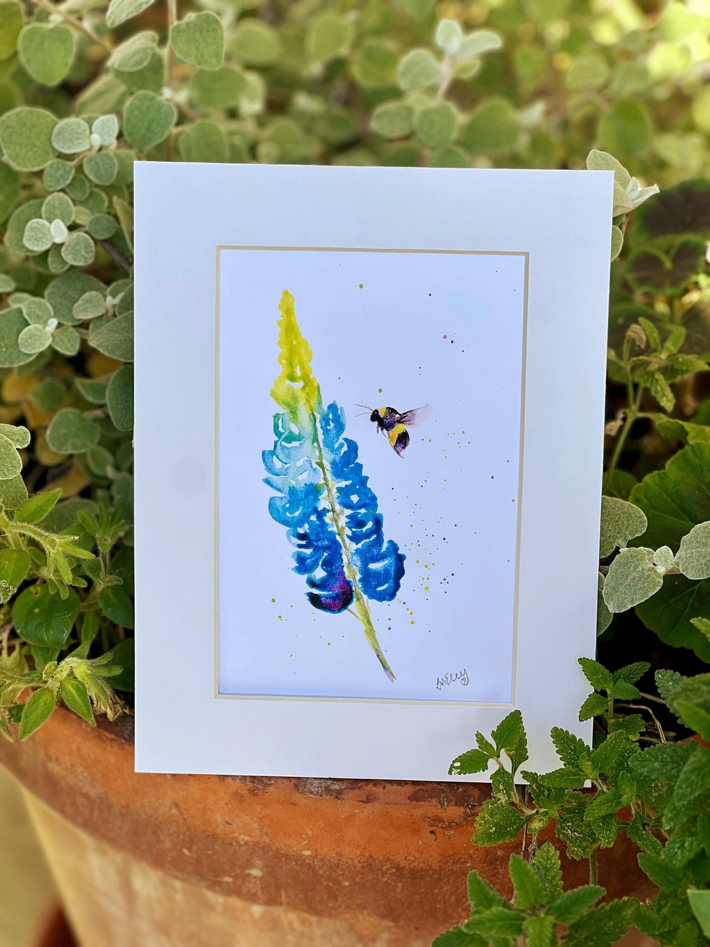 Watercolour painting of a colourful lupin flower with bumble bee in a white mount with a garden background.
