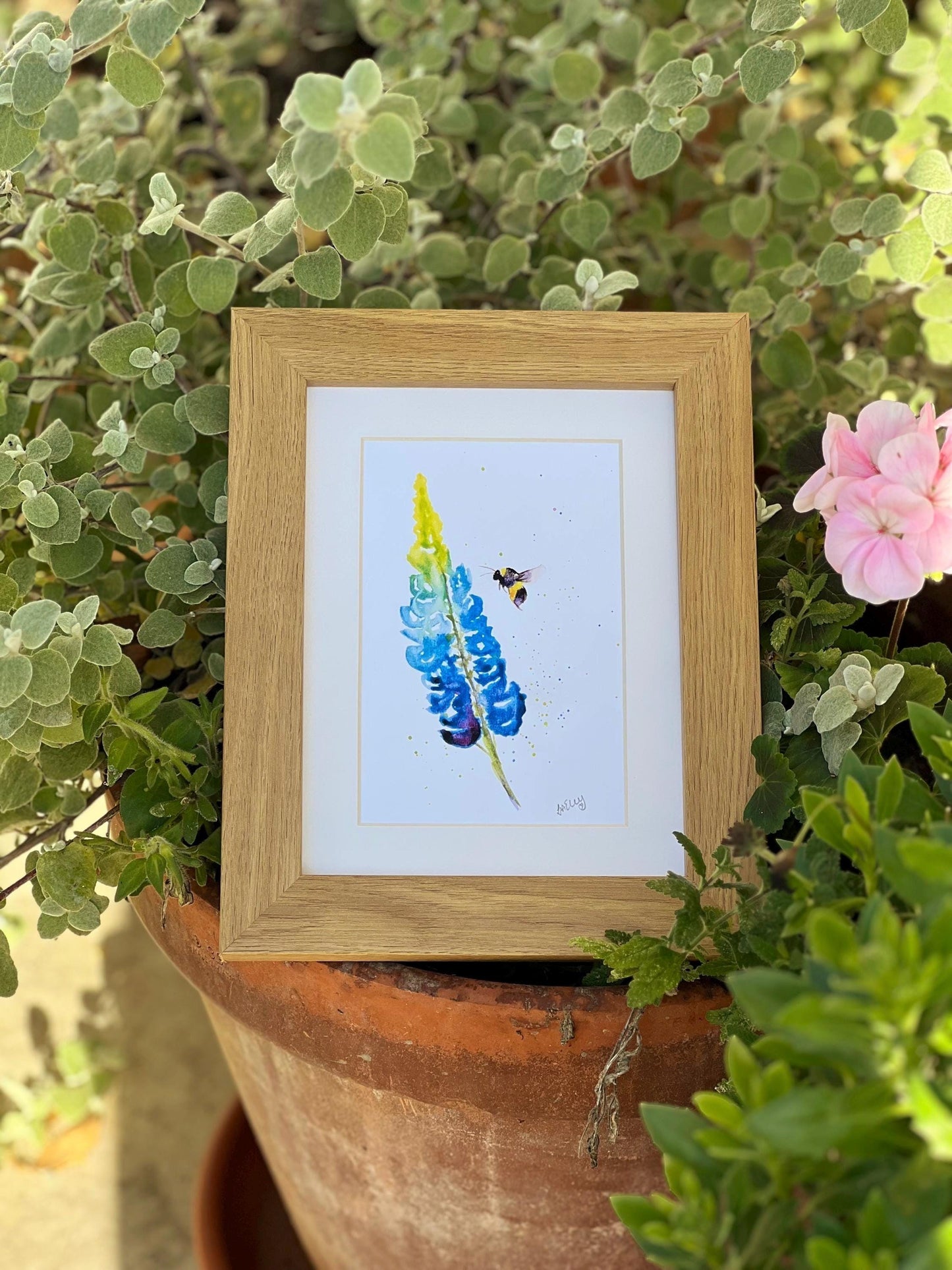 Petals & Pollen: A Bee’s Delicate Lupin Journey in Watercolour