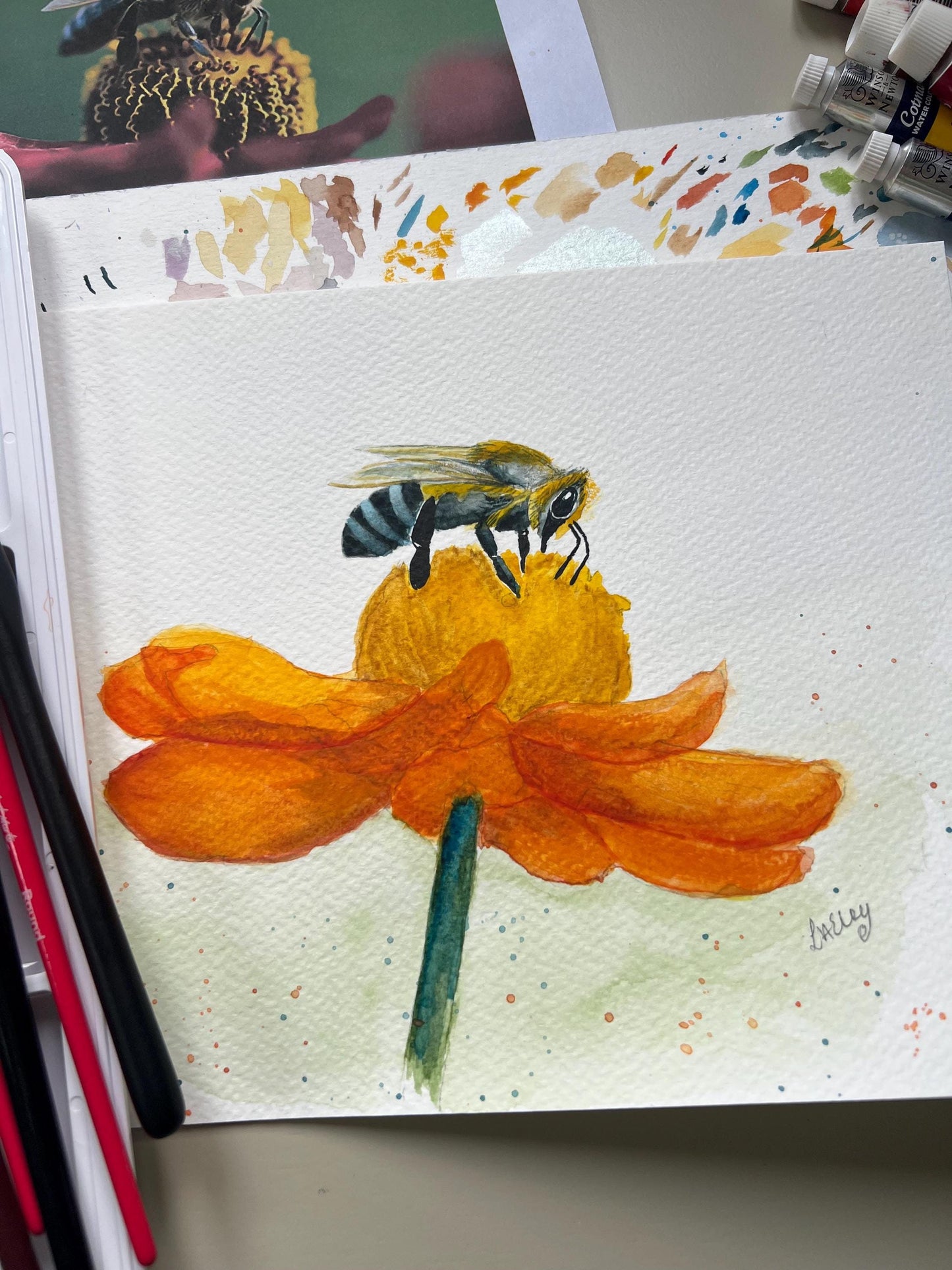 Buzzing Beauty: A Honey Bee on a Radiant Flower