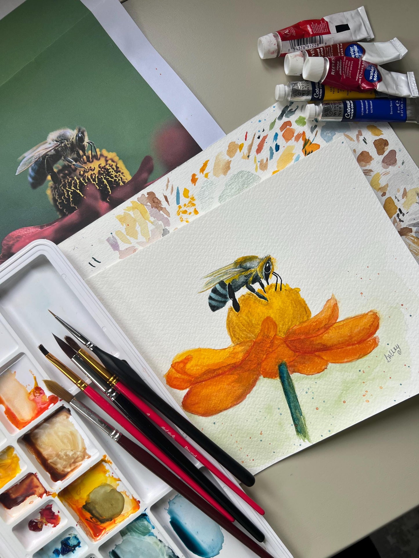 Buzzing Beauty: A Honey Bee on a Radiant Flower