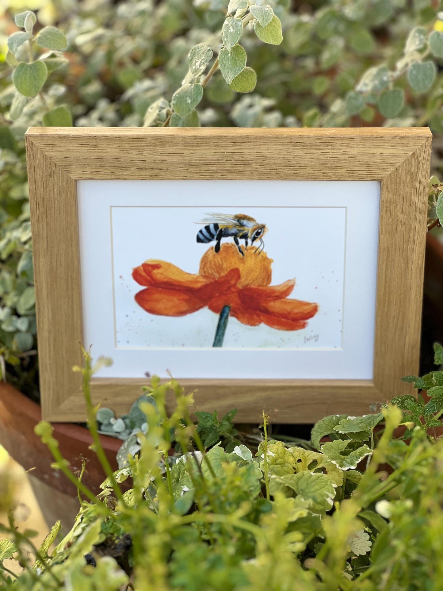 Buzzing Beauty: A Honey Bee on a Radiant Flower