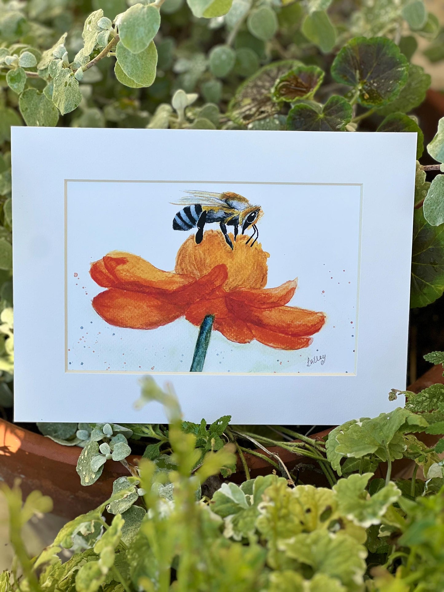 Buzzing Beauty: A Honey Bee on a Radiant Flower