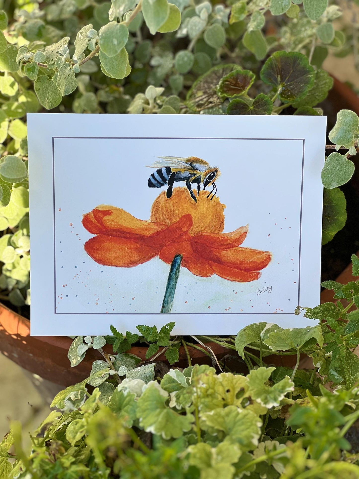 Buzzing Beauty: A Honey Bee on a Radiant Flower