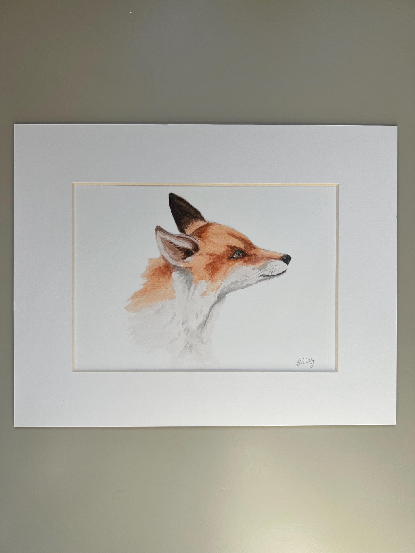 Inquisitive Gaze of a Young Fox in Watercolour