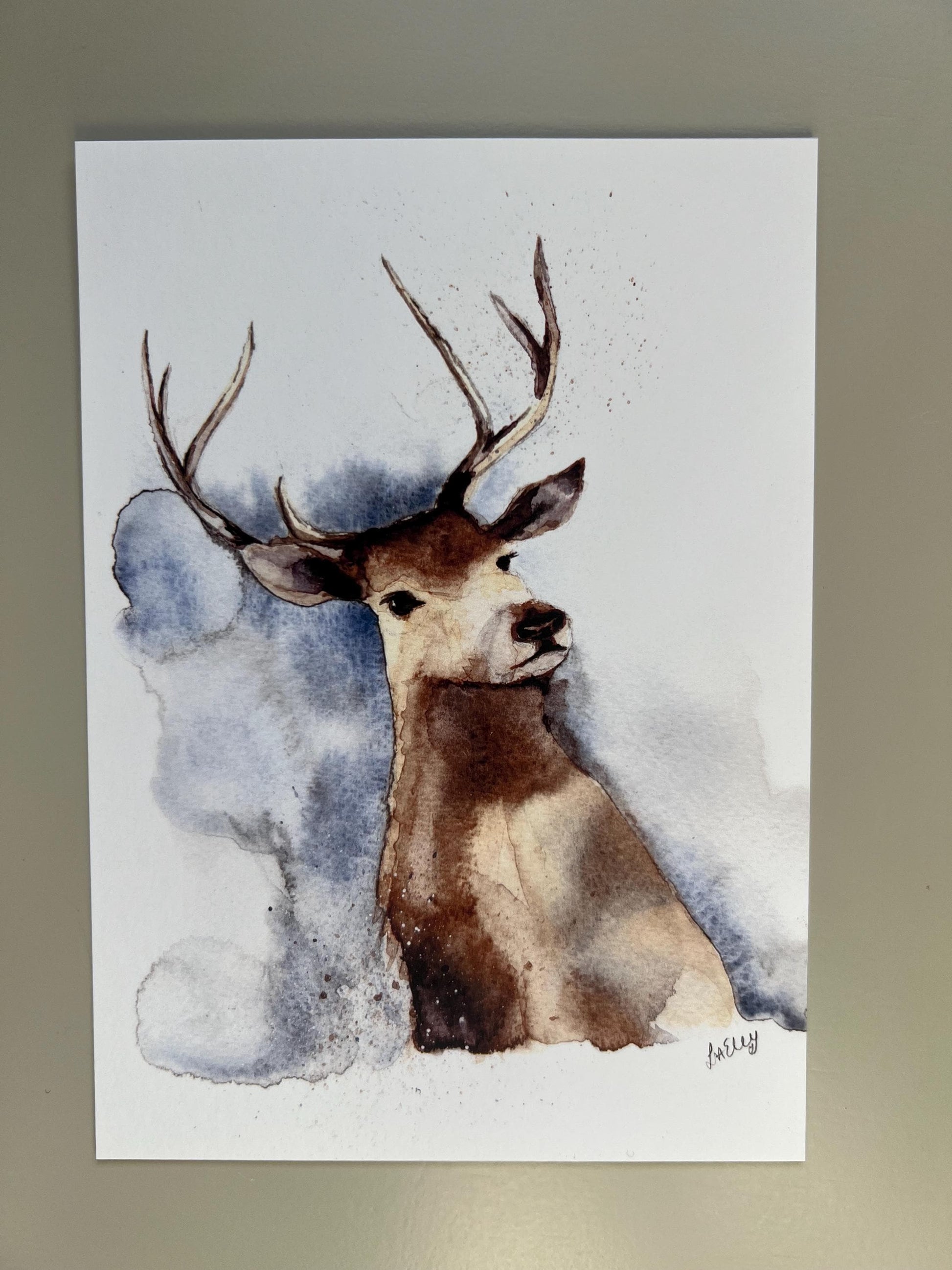 Watercolour stag in brown, grey and blue tones.