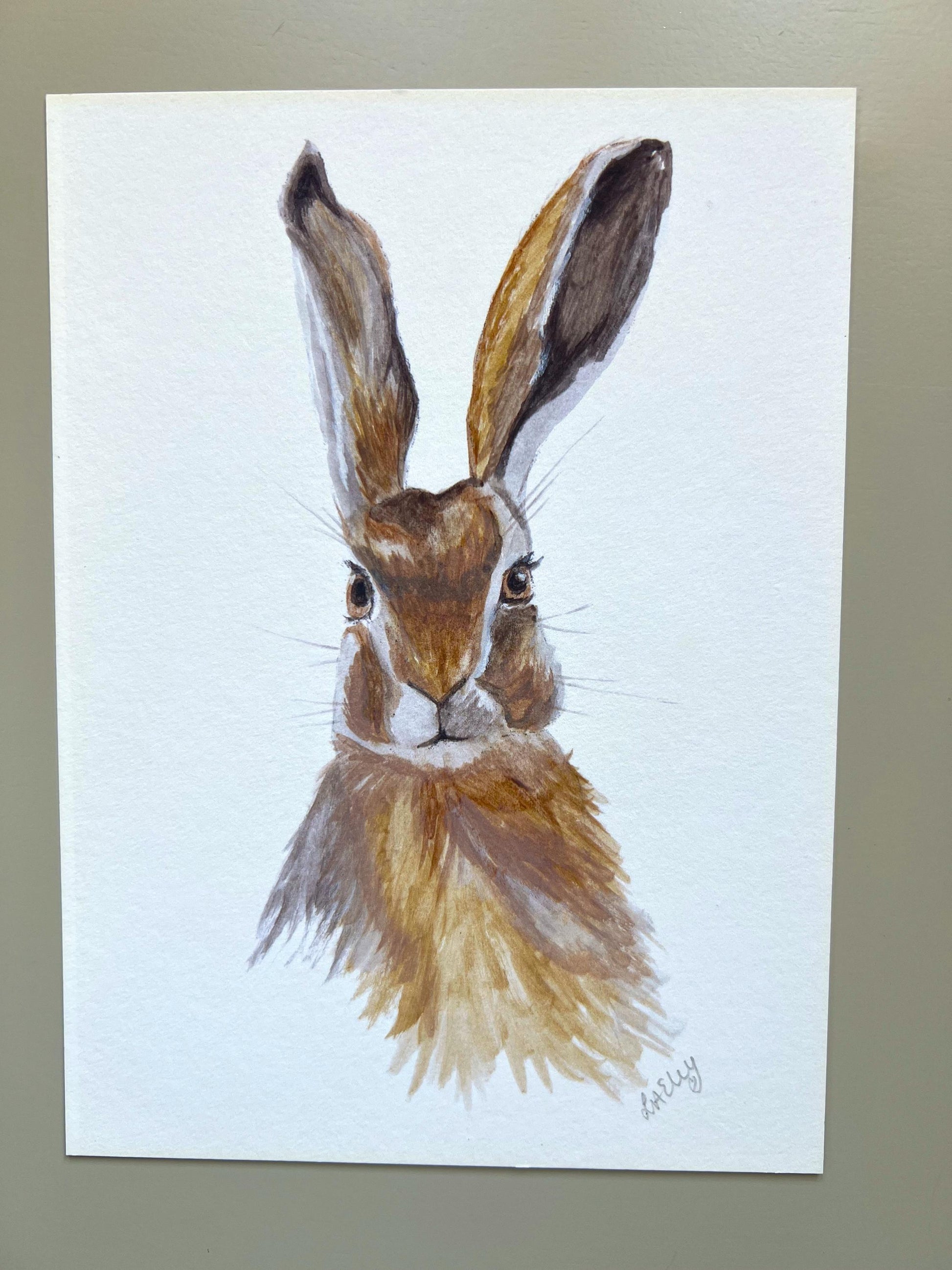 Close up of Watercolour hare painting in brown and grey tones.
