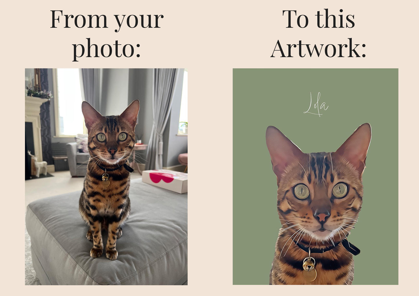 Shows a photo of a pet Bengal cat made into a digital pet portrait artwork.