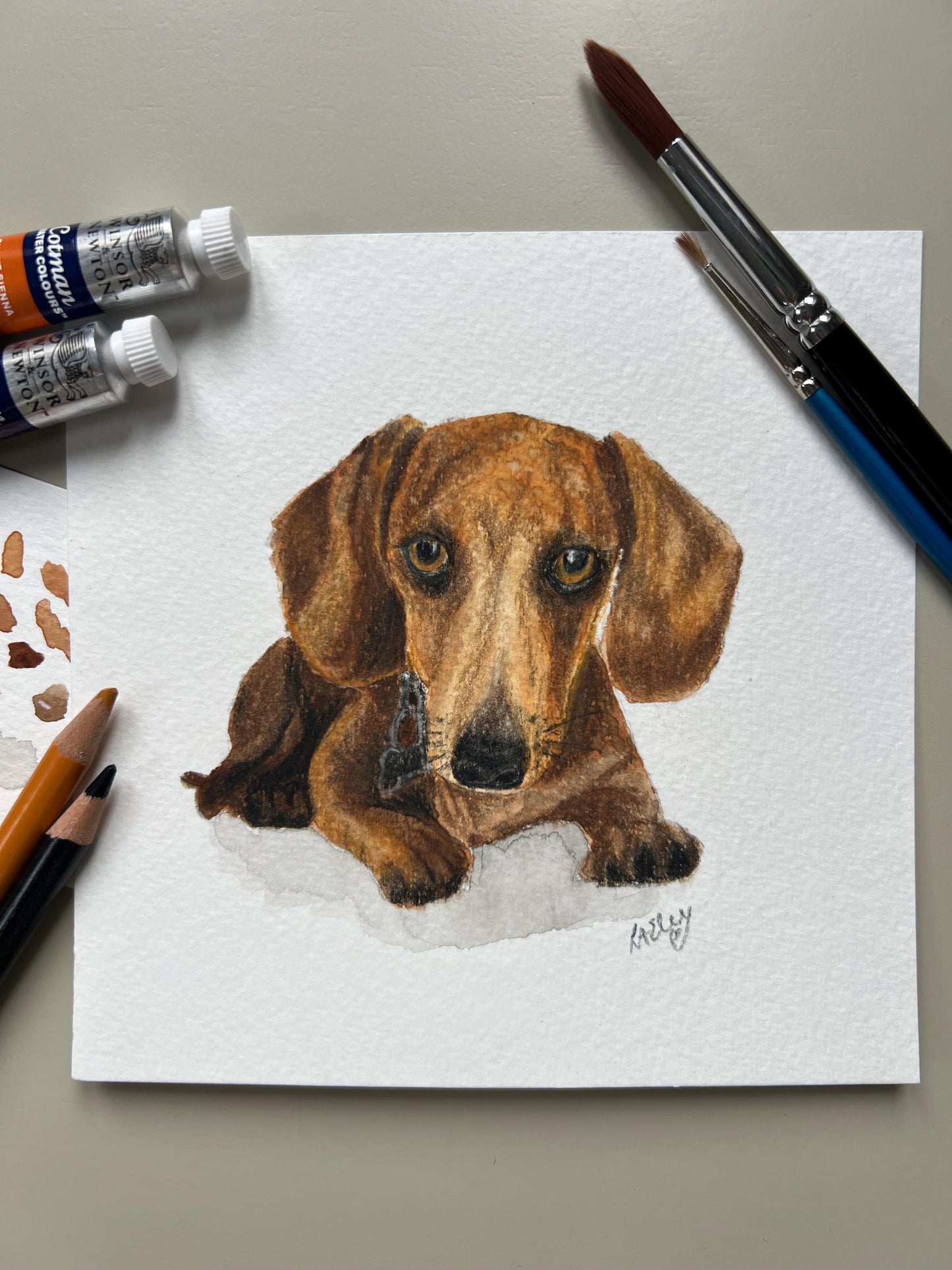 A custom watercolour pet portrait of a dachshund dog, displayed with paint tubes.