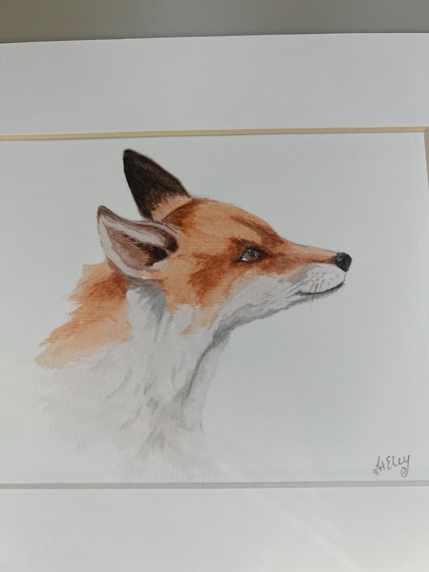 Close up of a Watercolour young fox painting in brown and orange tones with white mount.