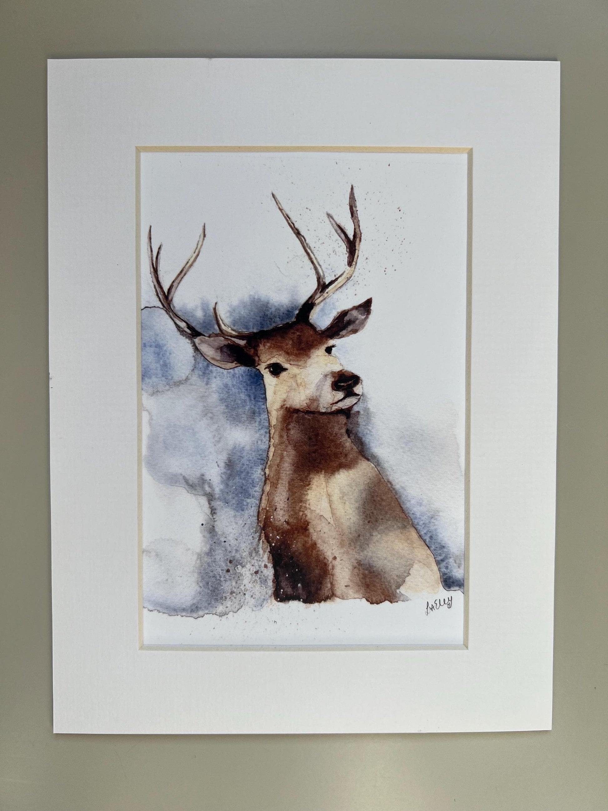 Watercolour stag in brown, grey and blue tones in a white mount.