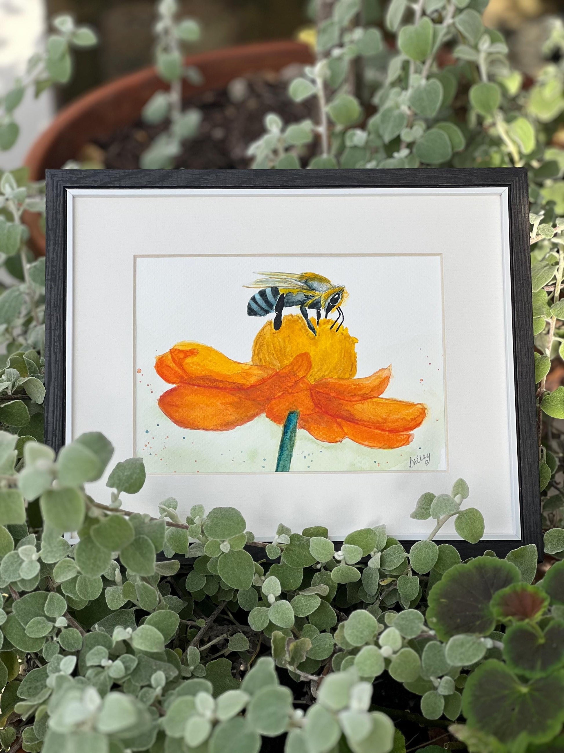 Watercolour honey bee on a vibrant orange flower in a black finish wooden frame and white mount in a garden setting.