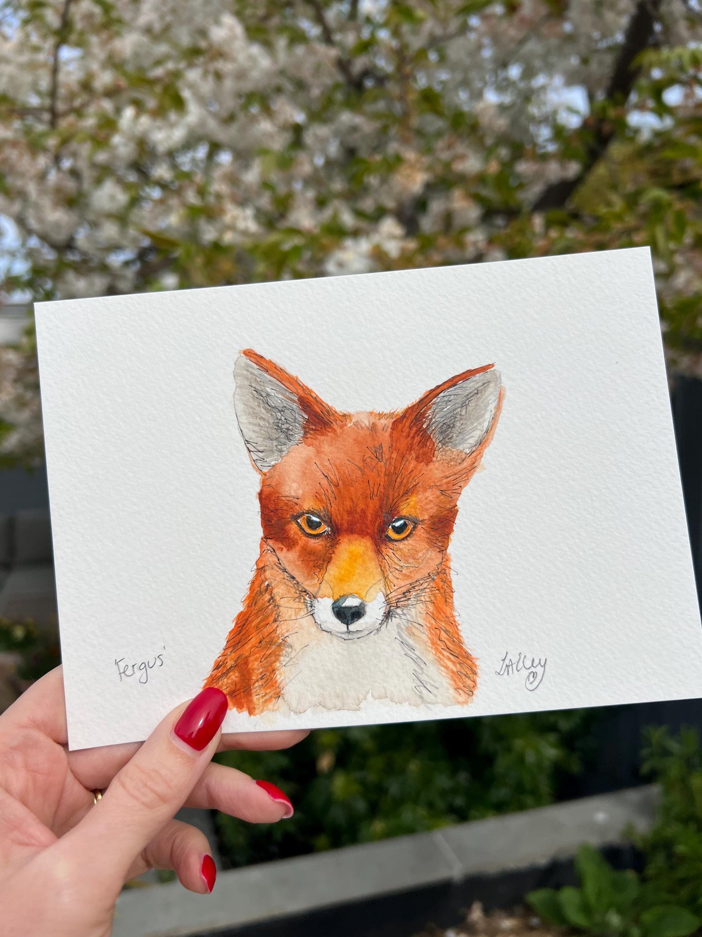 Wild at Heart: Fergus the Fox in Bold Watercolour Daily Drawing