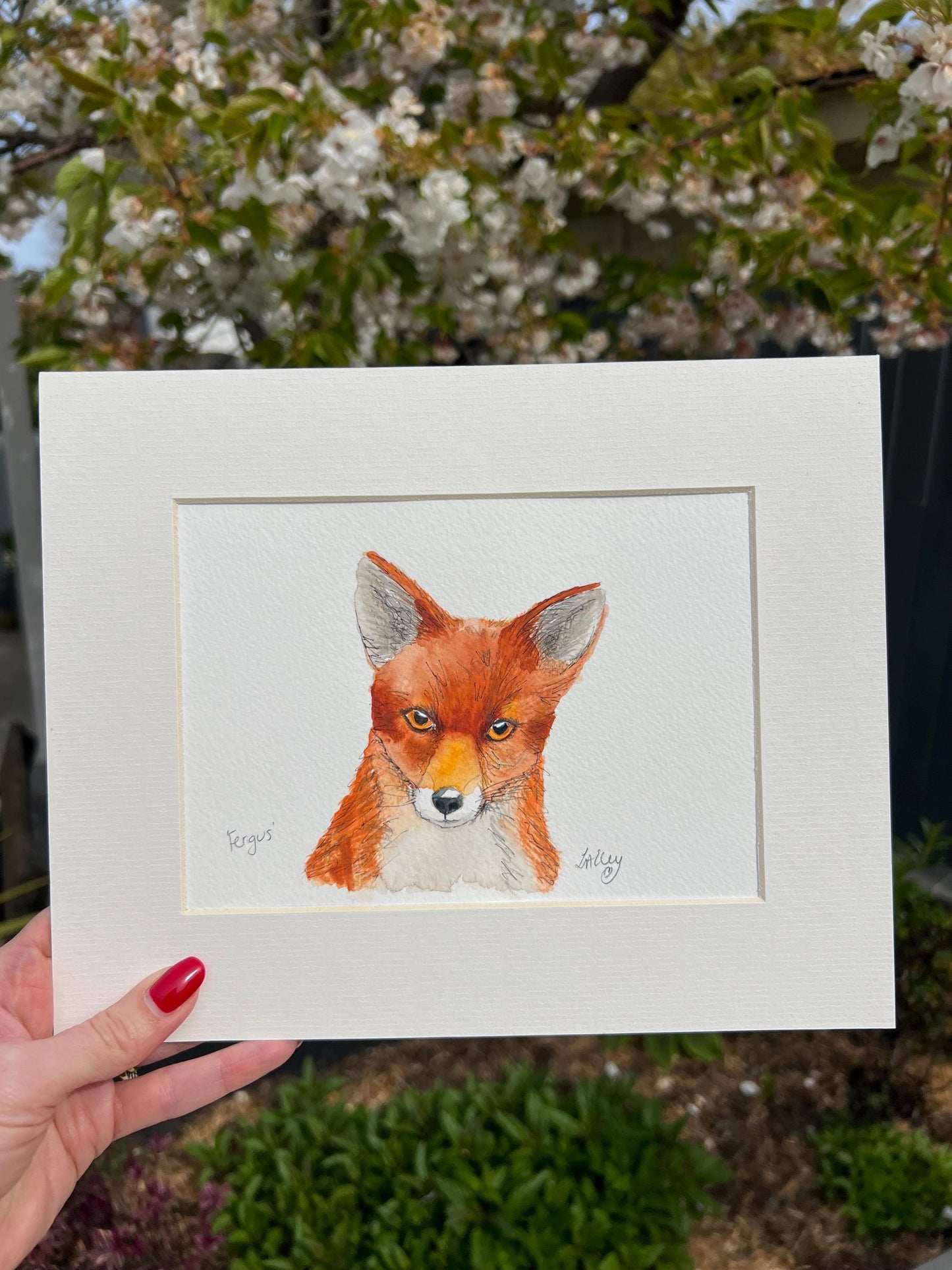 Wild at Heart: Fergus the Fox in Bold Watercolour Daily Drawing