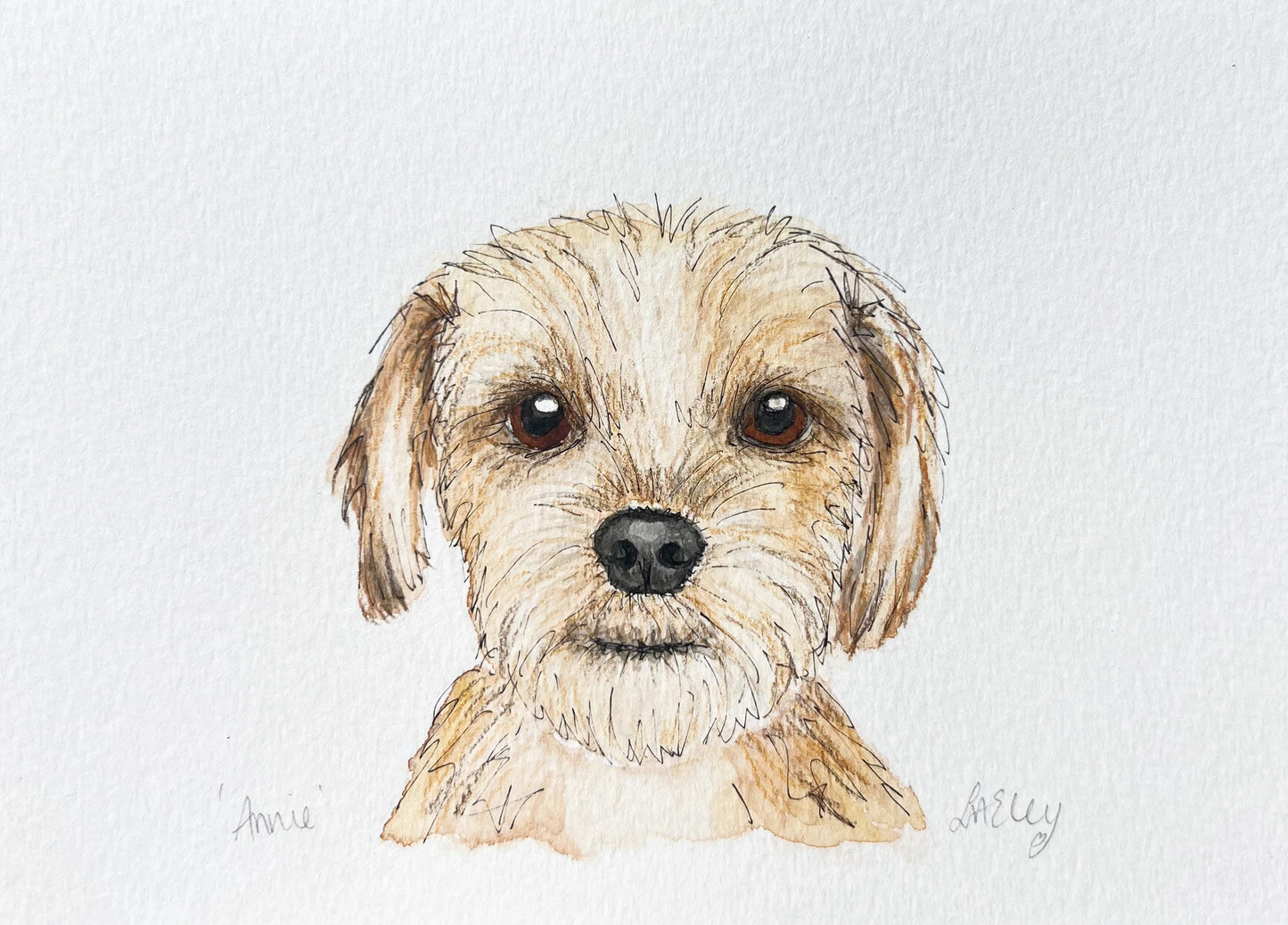 Annie the Yorkie Dog: A Tiny Spark of Joy in Watercolour Daily Drawing