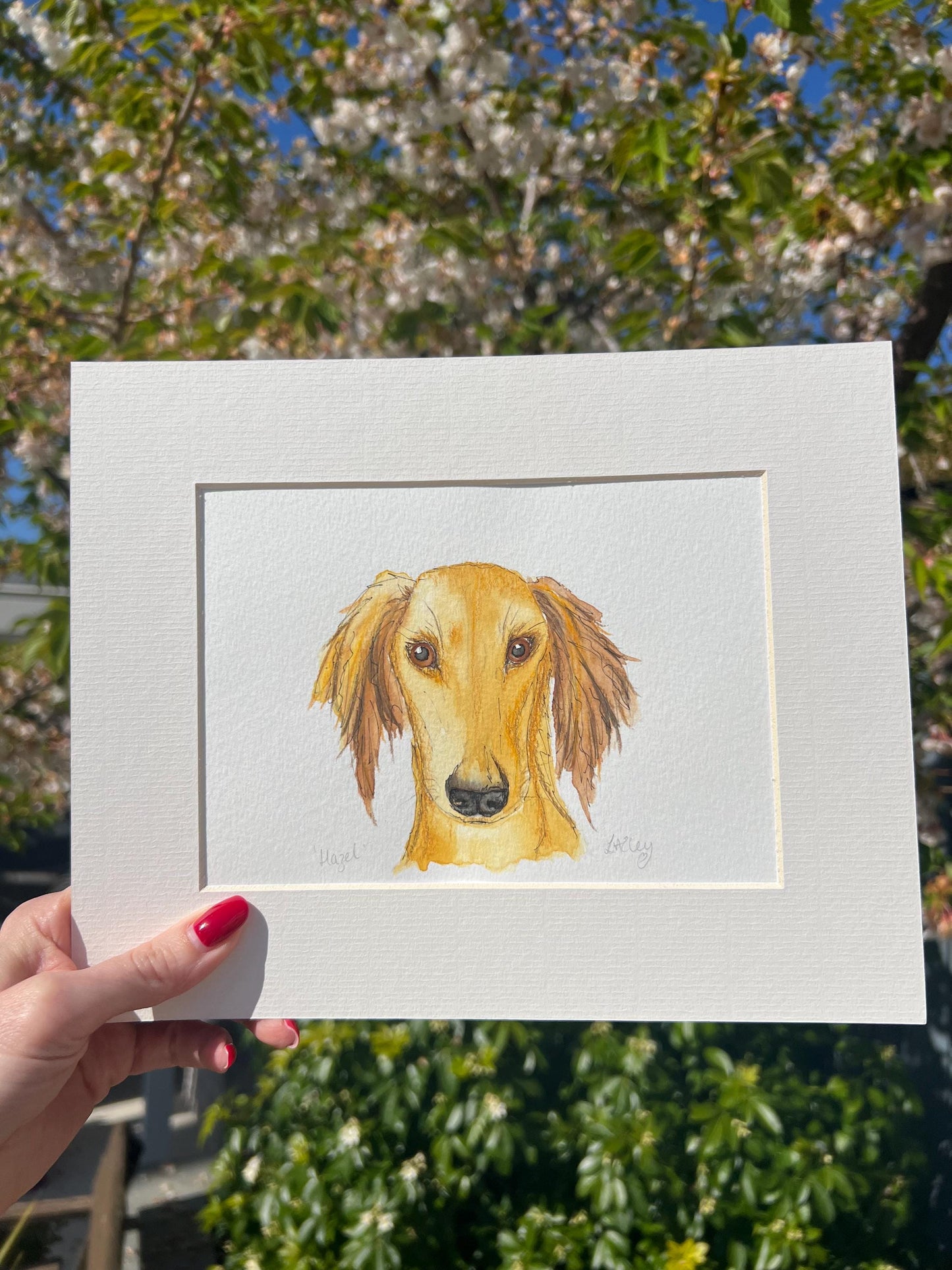 Watercolour painting of a Saluki dog named Hazel in a white mount with a garden background.