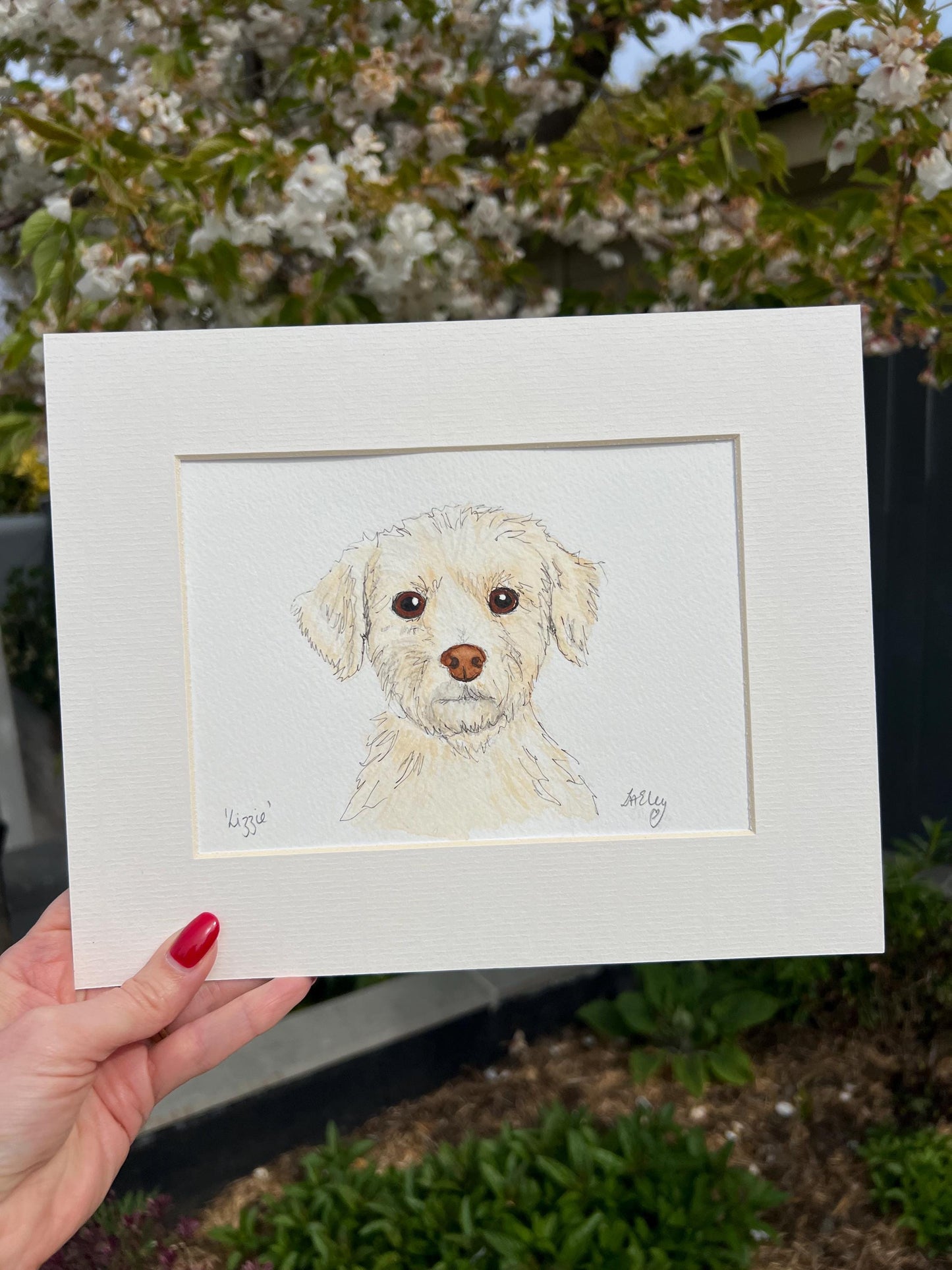 Watercolour painting of a white Maltese dog named Lizzie in a white mount with a garden background.