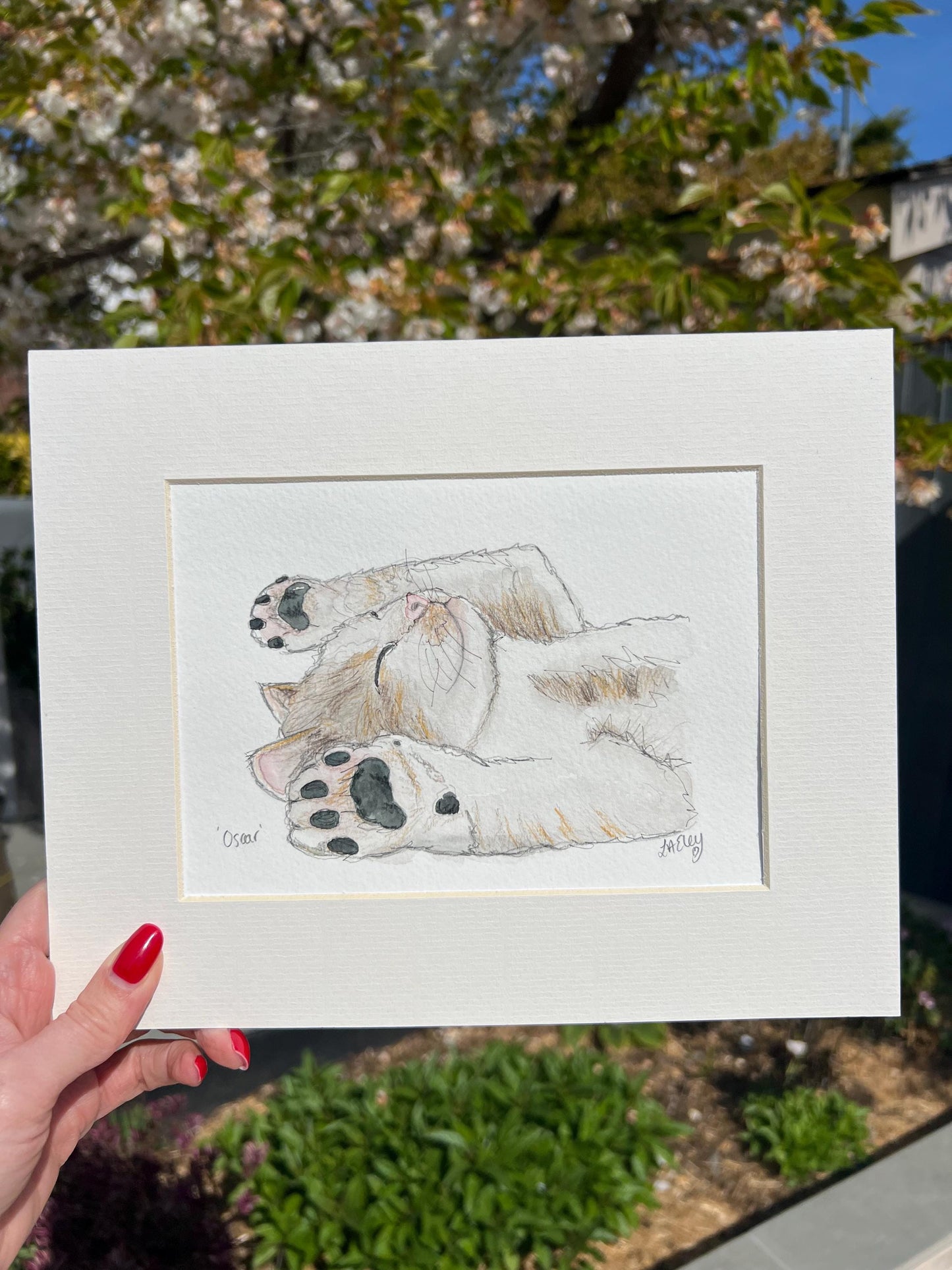 Cuddle & Chaos: The Lovable Energy of Oscar Kitten Watercolour Daily Drawing