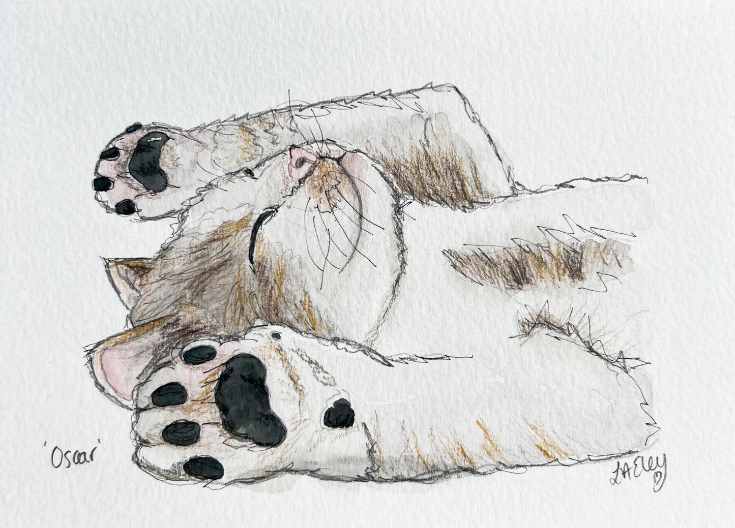 Cuddle & Chaos: The Lovable Energy of Oscar Kitten Watercolour Daily Drawing