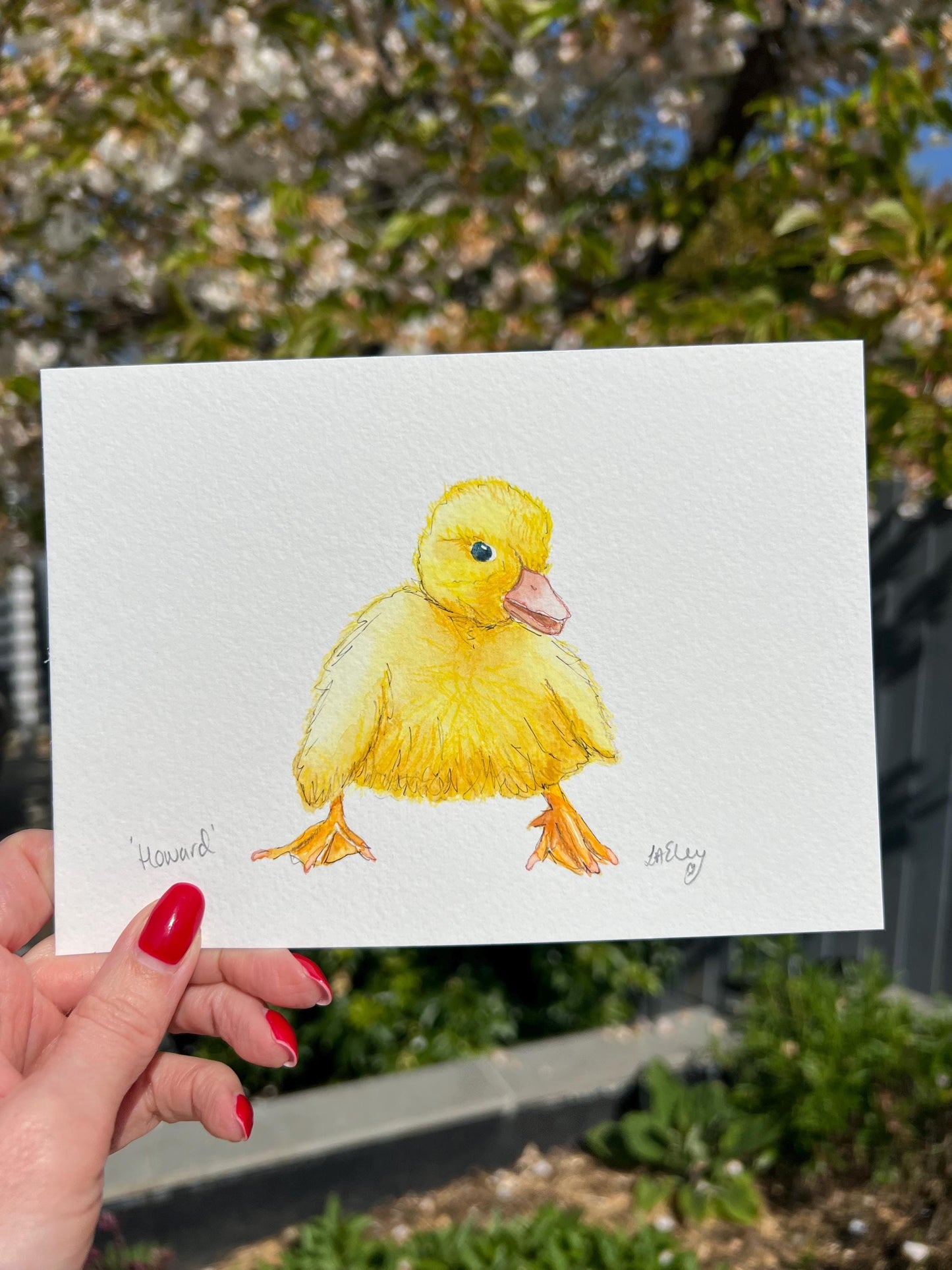 Watercolour painting of a yellow duckling with a garden background.