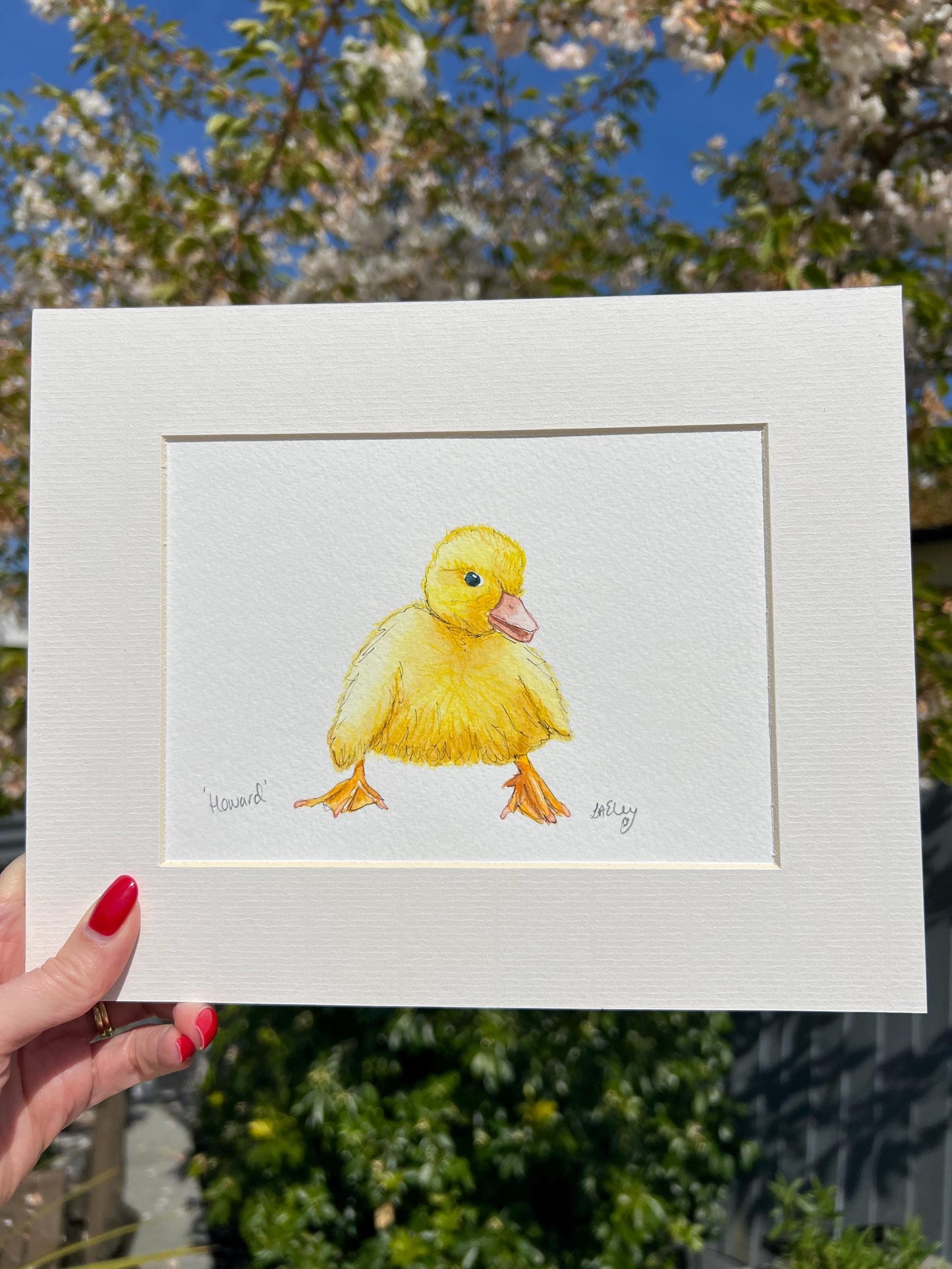 Watercolour painting of a yellow duckling and a white mount with a garden background.