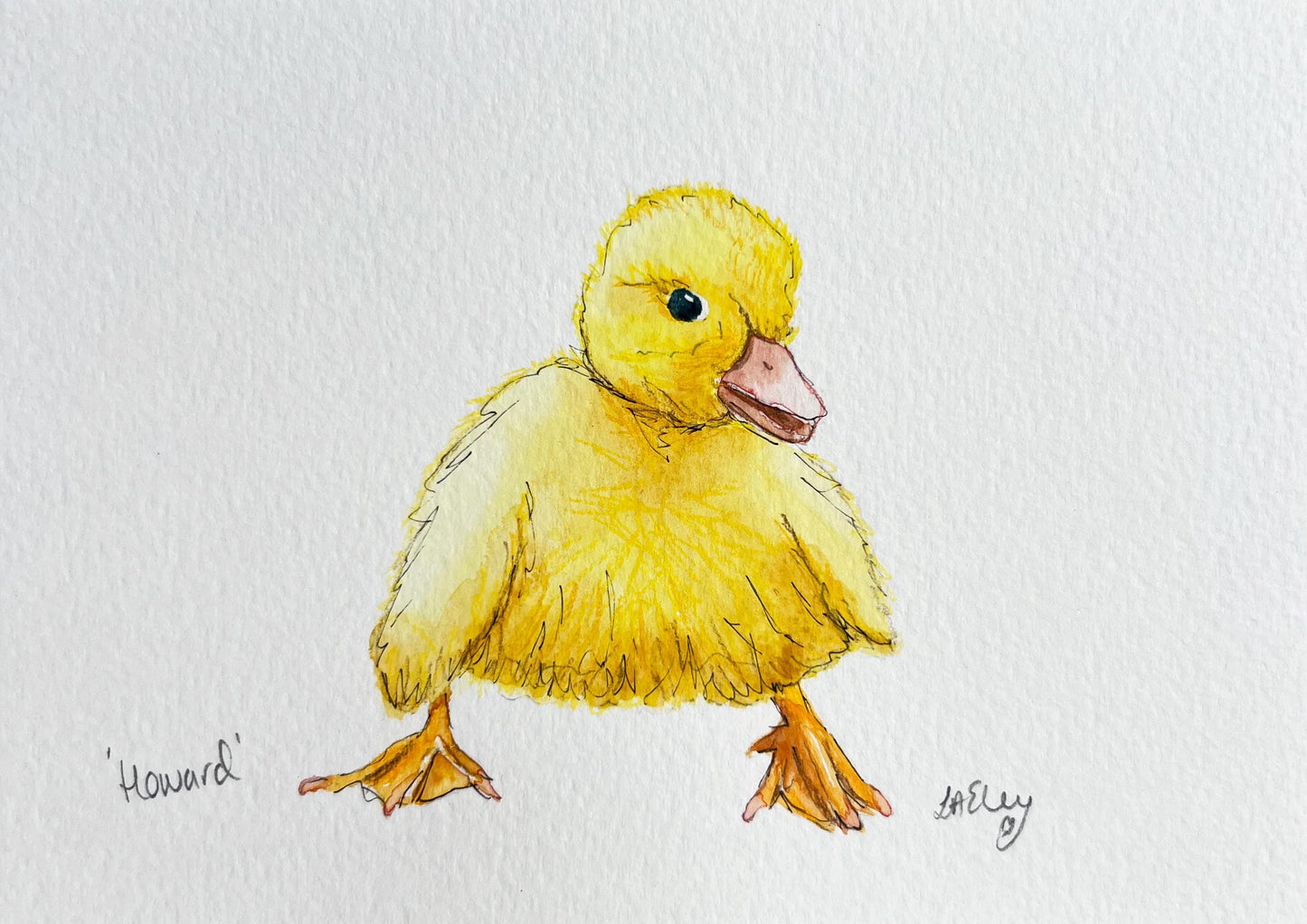 Watercolour painting of a yellow duckling on a white background.