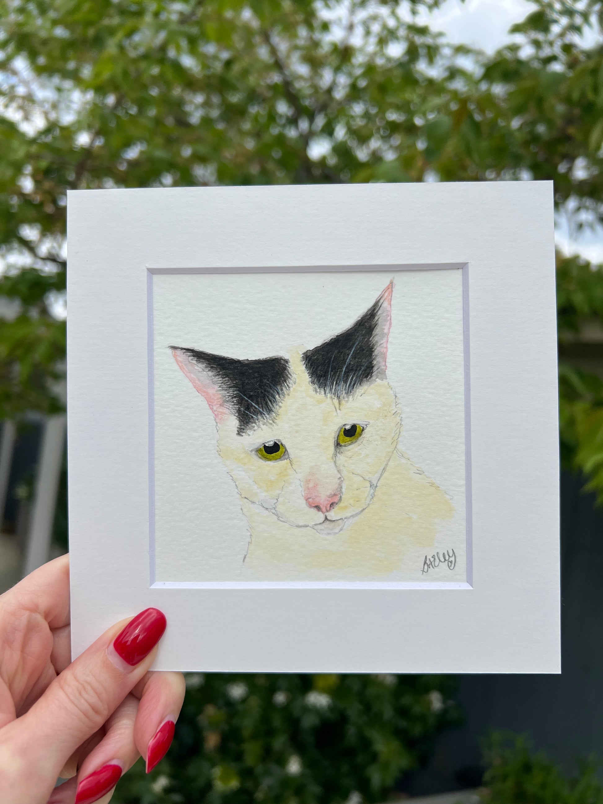 A custom watercolour pet portrait of a white cat, displayed with white mount and garden in the background. 