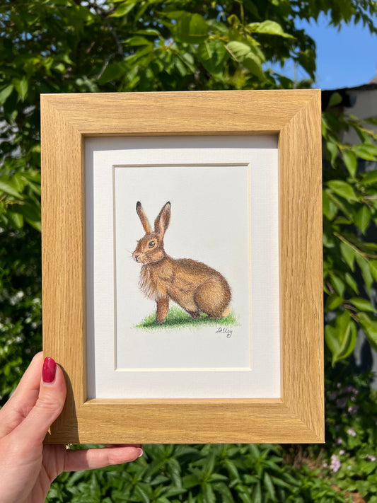 Meadow Whisper: A Hare’s Quiet Moment Pencil Drawing