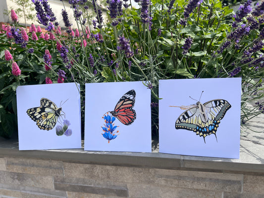 Three cards with butterfly illustrations of a Marbled White, Monarch and Swallowtail all with gold and green glitter metallic accents in front of a lavender plant.
