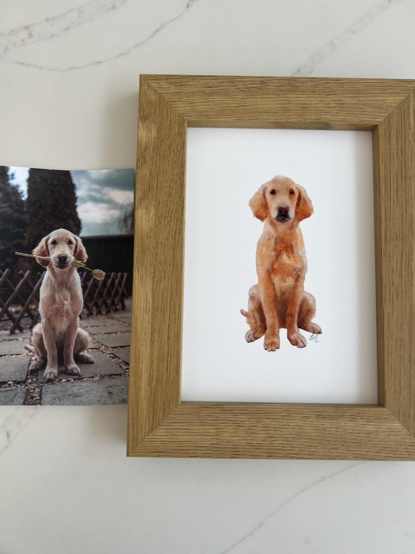 Hand-Created Custom Pet Portrait - Watercolour Effect