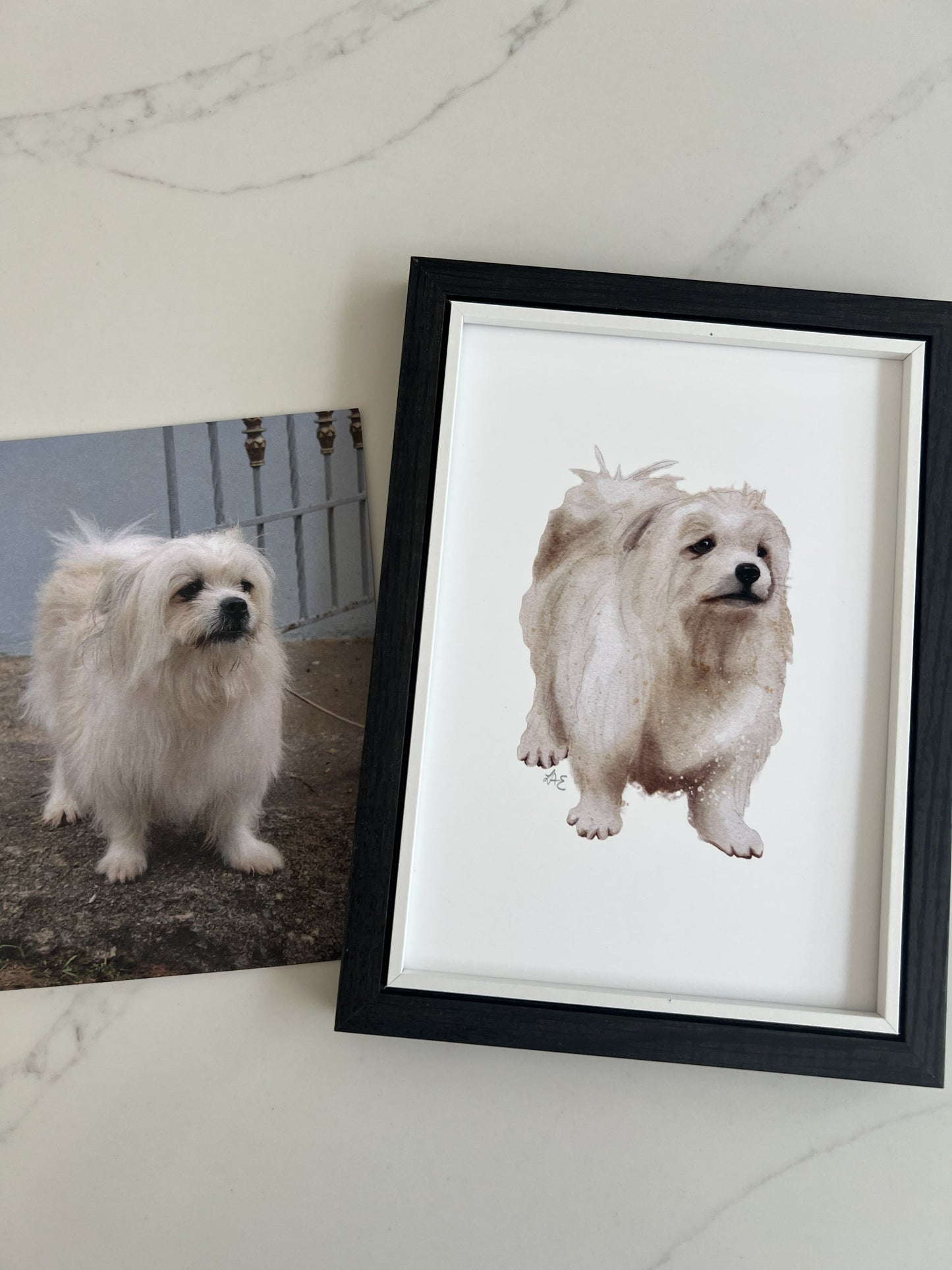 Hand-Created Custom Pet Portrait - Watercolour Effect