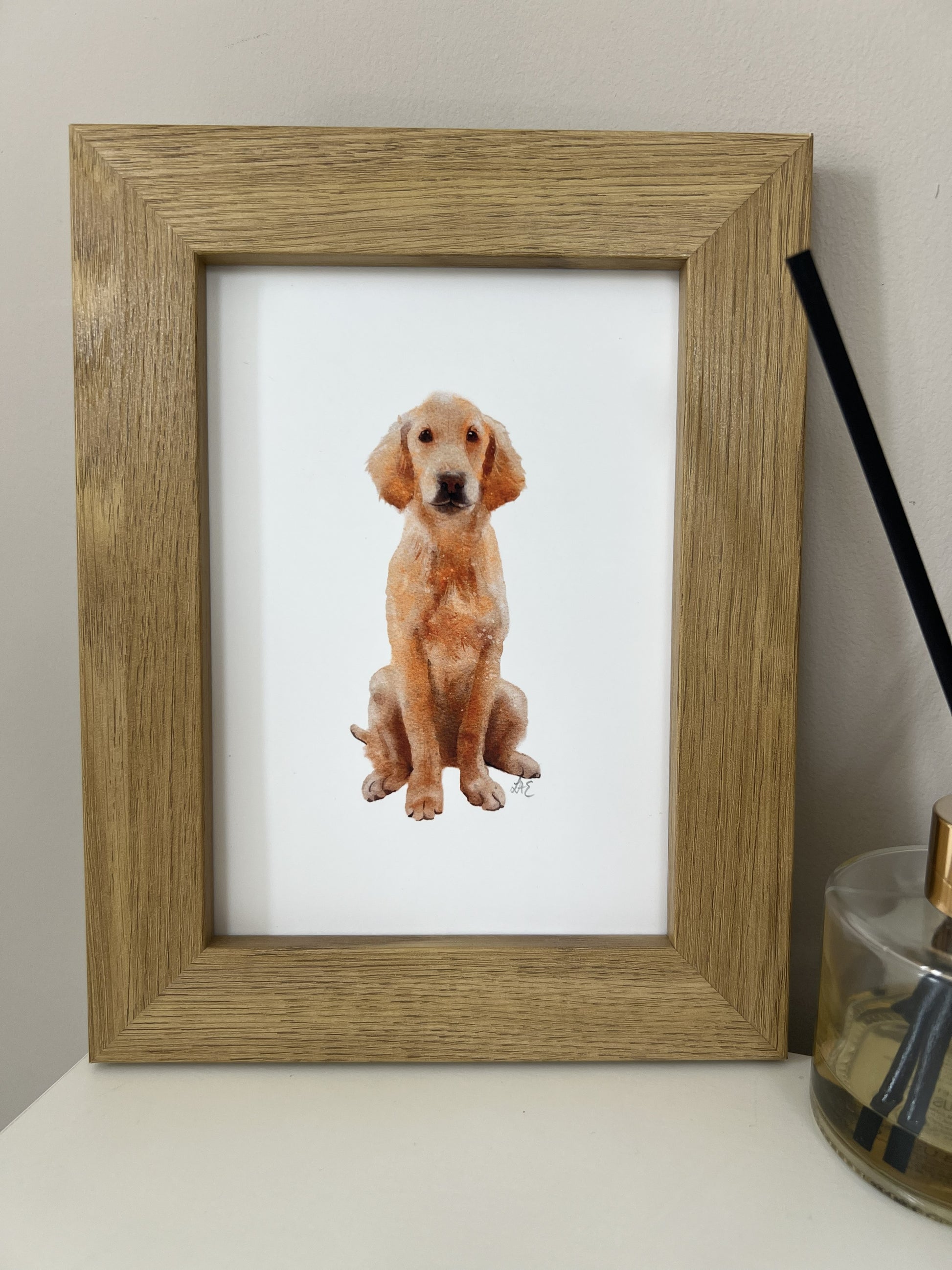 Framed picture of a Labrador dog on a white wall