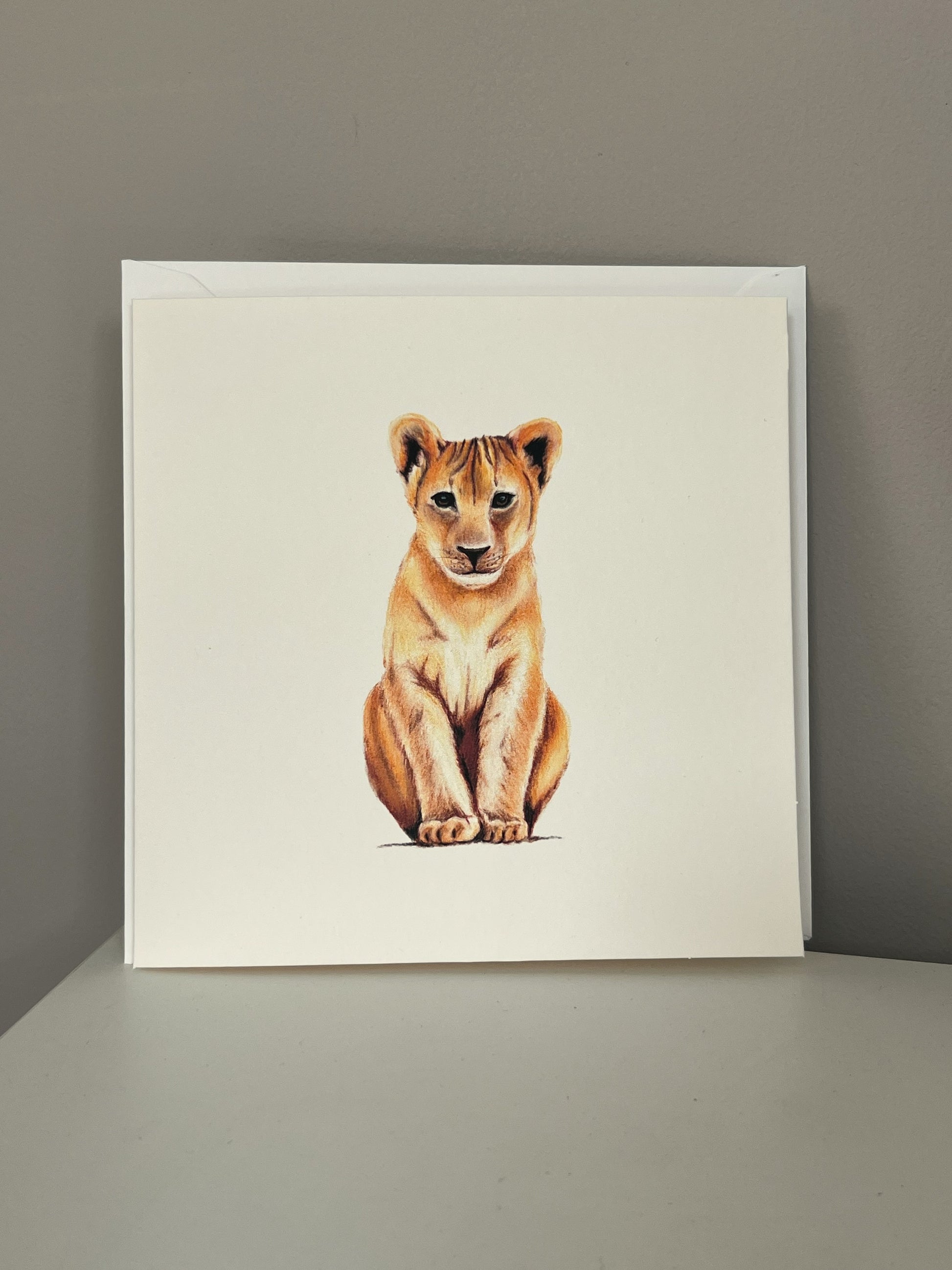 A square white art greeting card featuring a detailed illustration of a sitting lion cub, set against a plain gray background.
