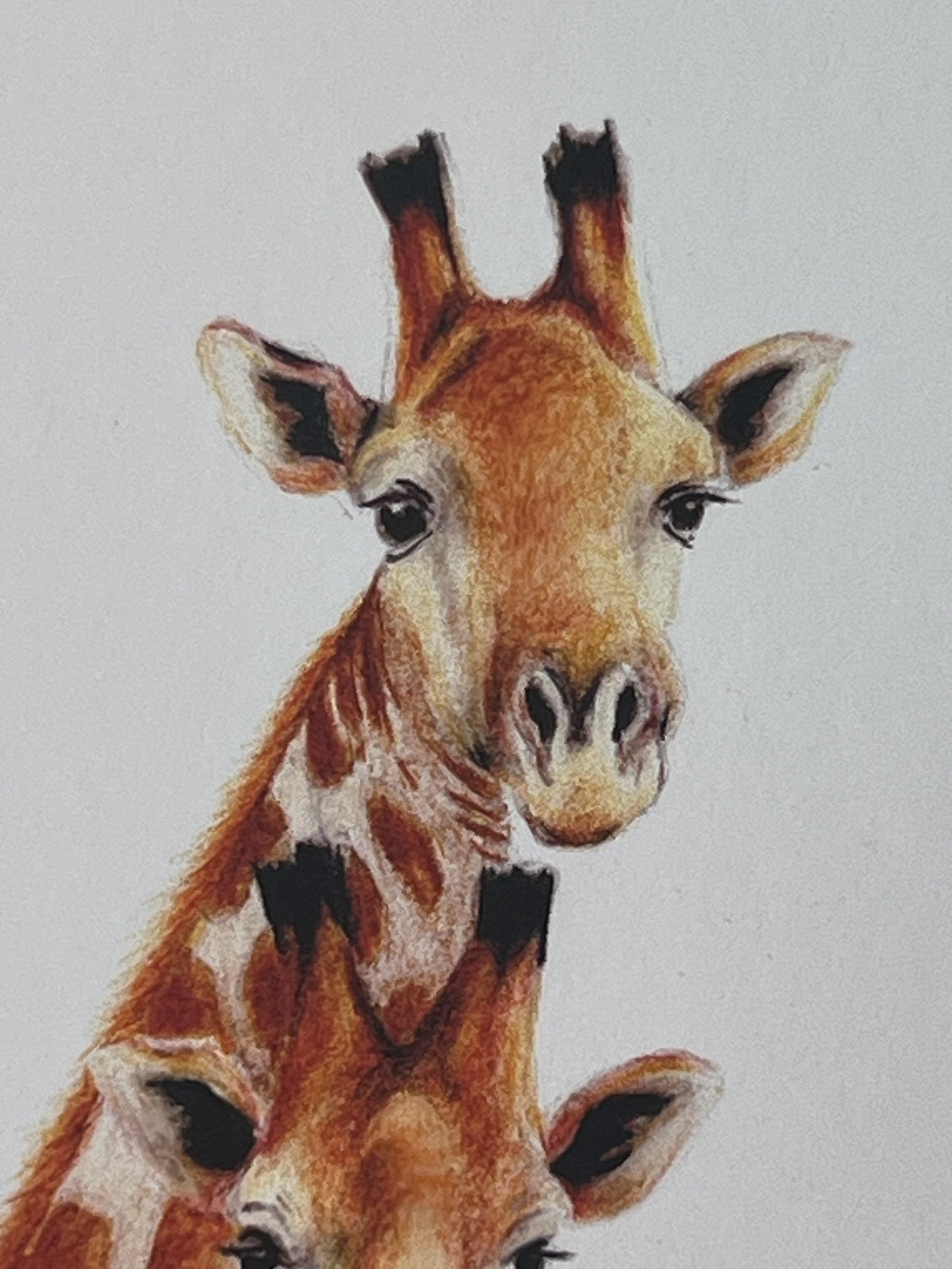 Giraffe Mum and Baby Art Card - Wildlife Illustration by UK Artist